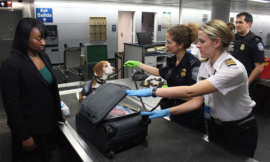 shipping from uk to us