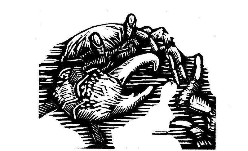 black and white relief print of a crab