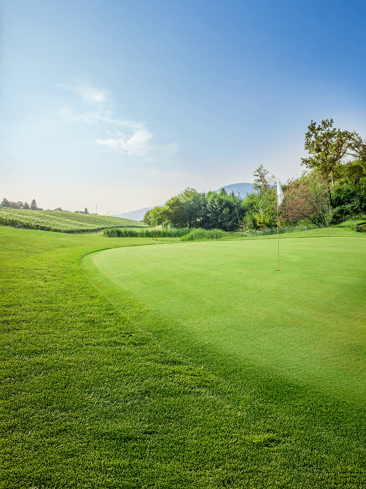 bangun lapangan golf