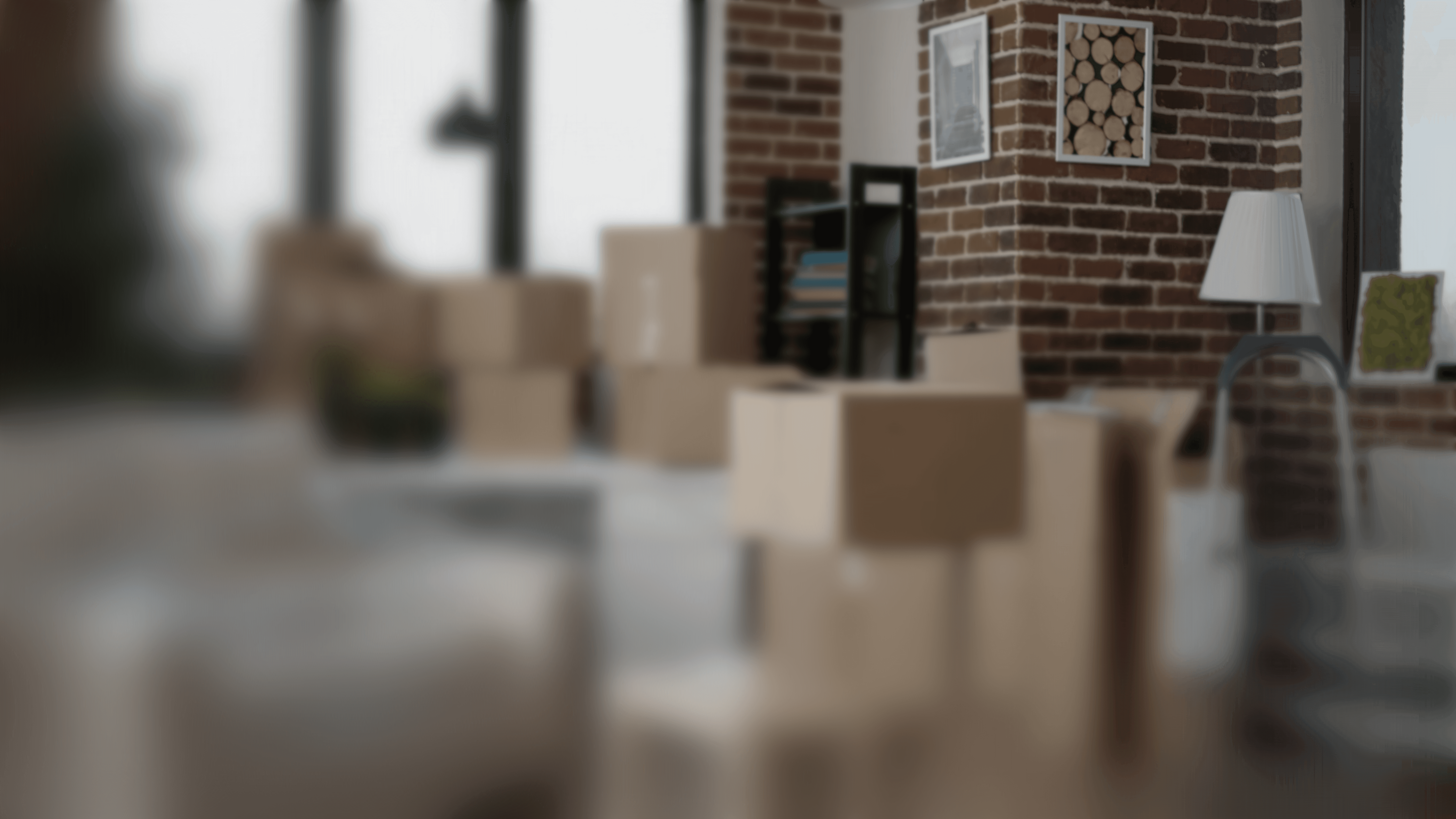 brown cardboard boxes on gray asphalt road