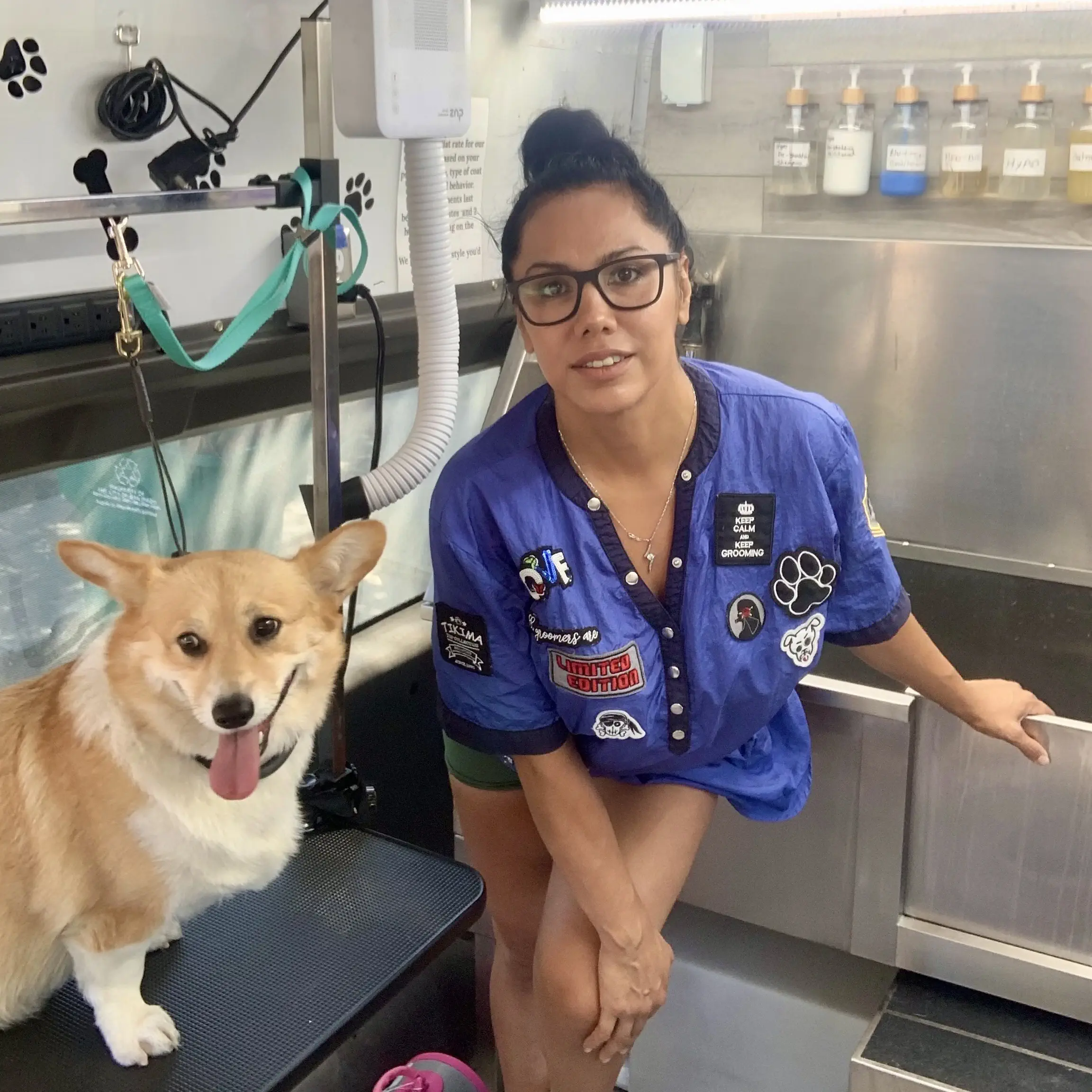 inside mobile dog grooming van