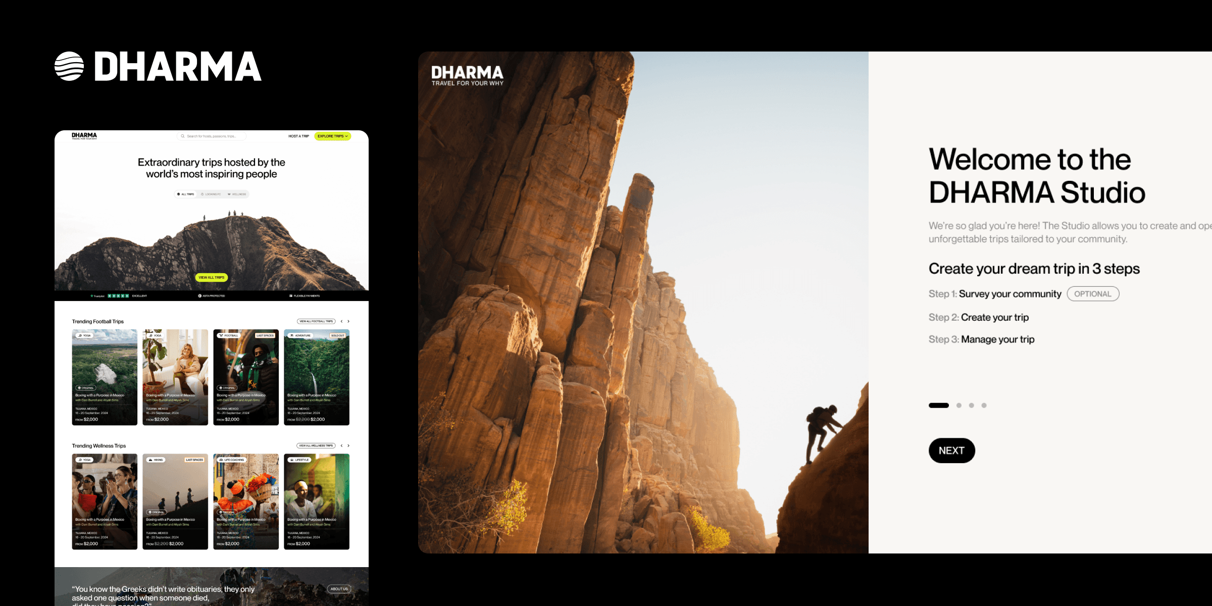 A visual overview of the DHARMA products Oryzon Studio worked on.