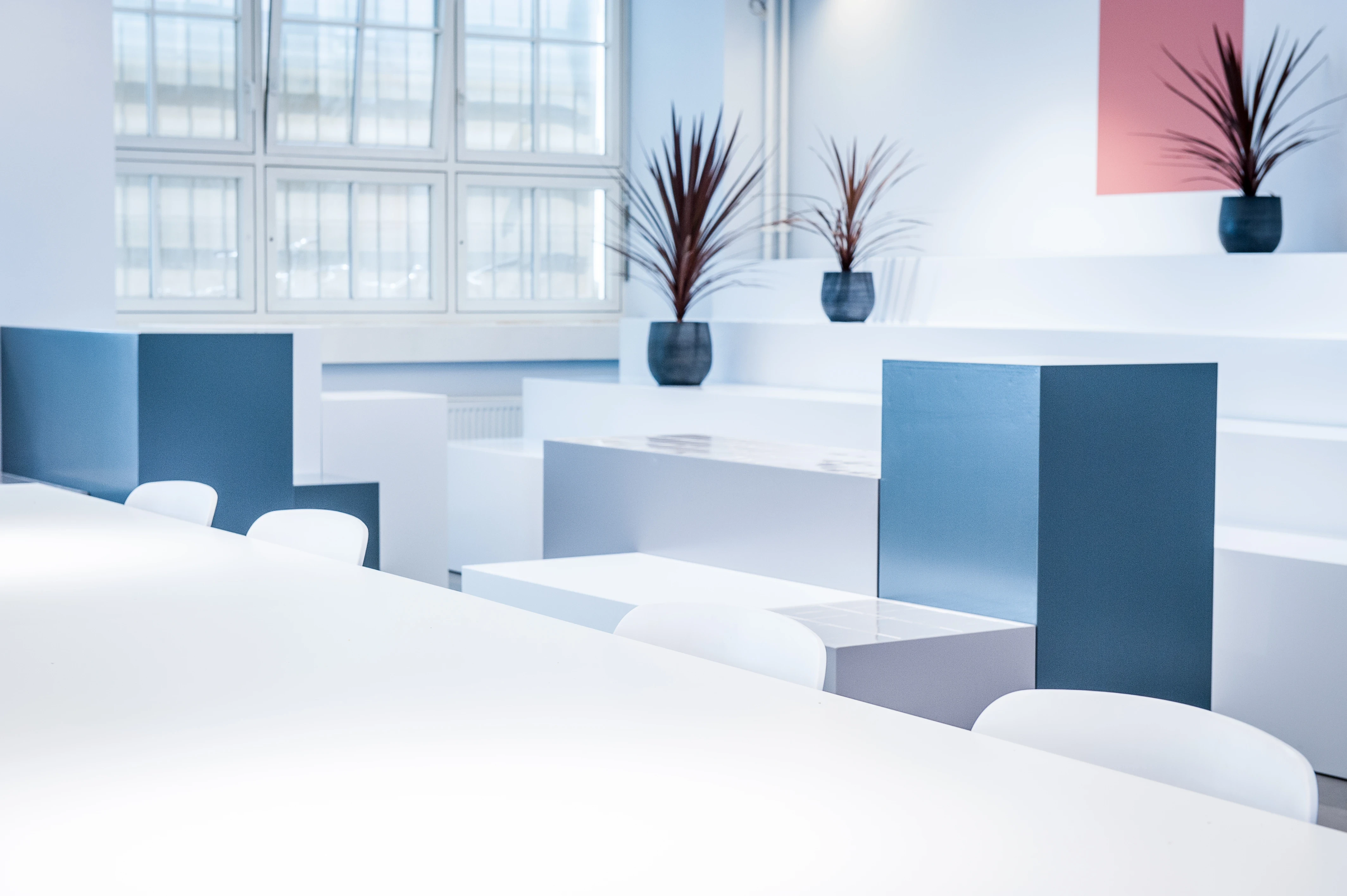 White presentation area at the 17 FASHION BRANDS showroom with steel-blue display cubes, white tables and chairs and dark red grass plants in blue vases.