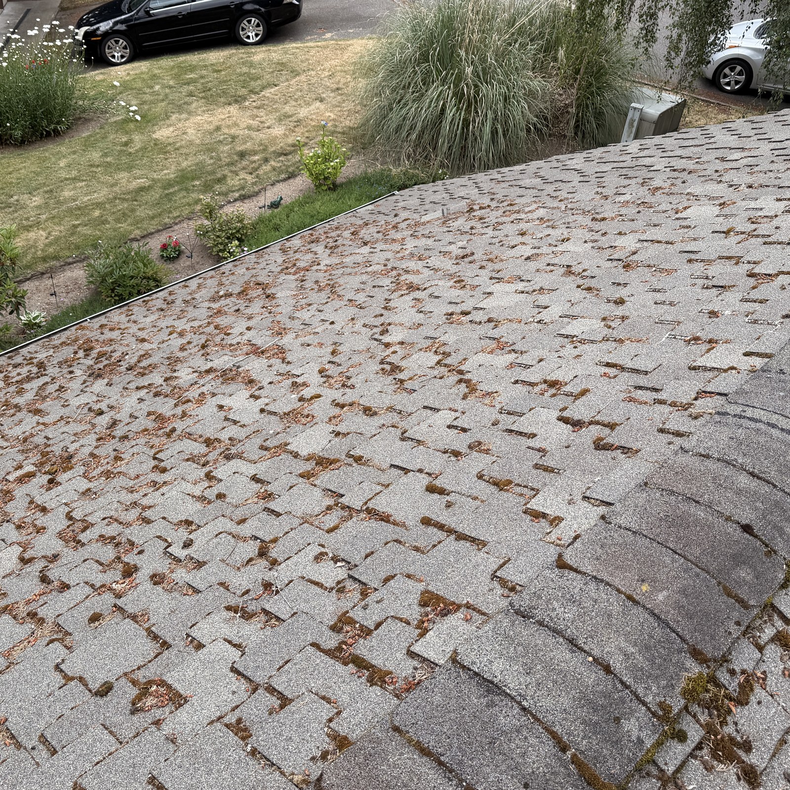 Before: roof cleaning & heavy moss removal in Everett, WA