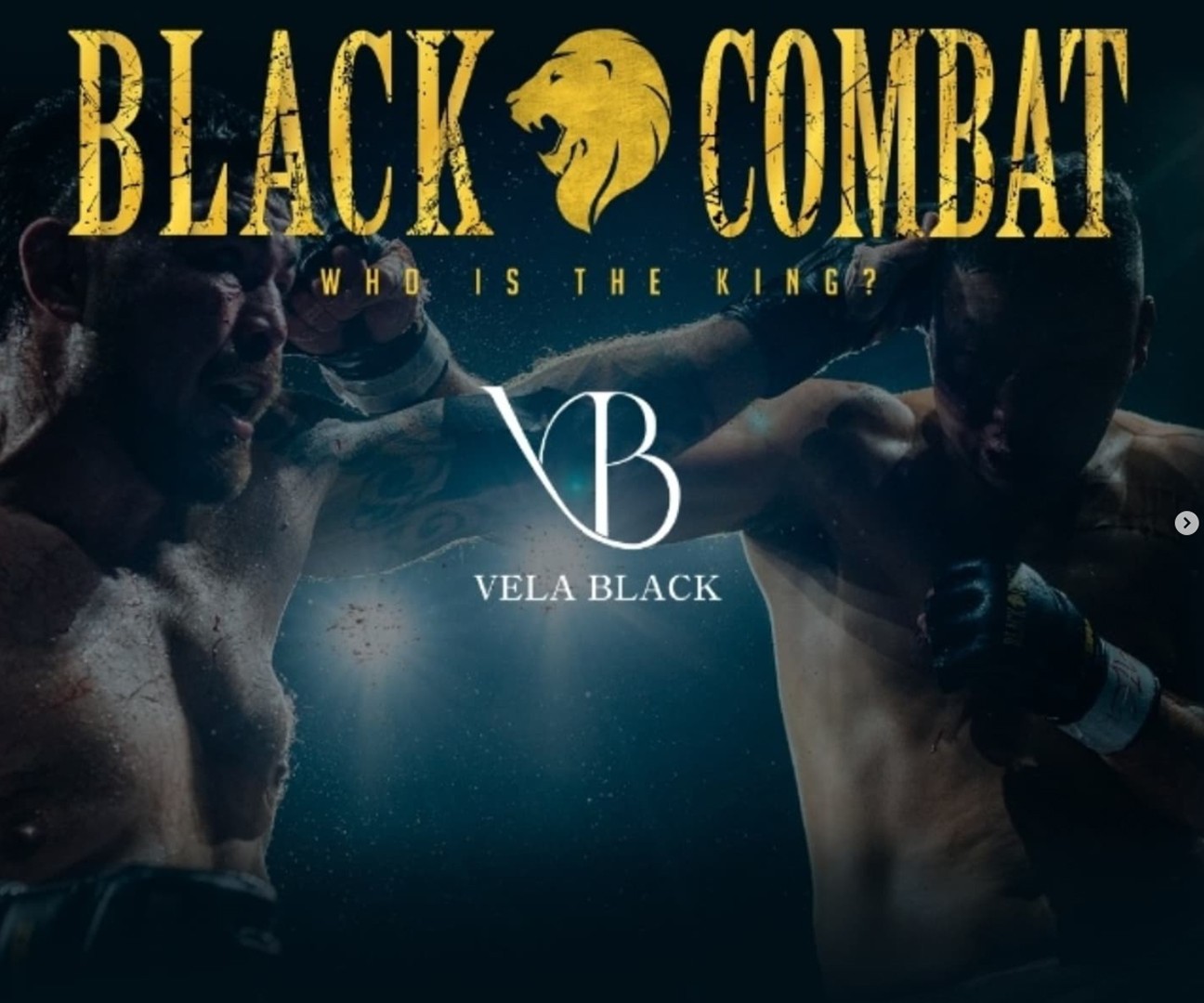 Project Gallery Image for 50% width of the screen #2