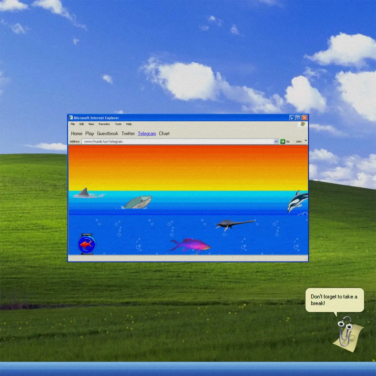 Lazy loaded image