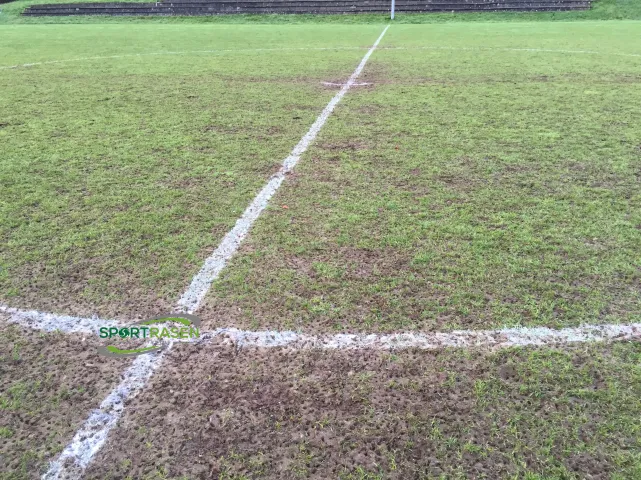 Platz 4: Fehlende Nachsaat