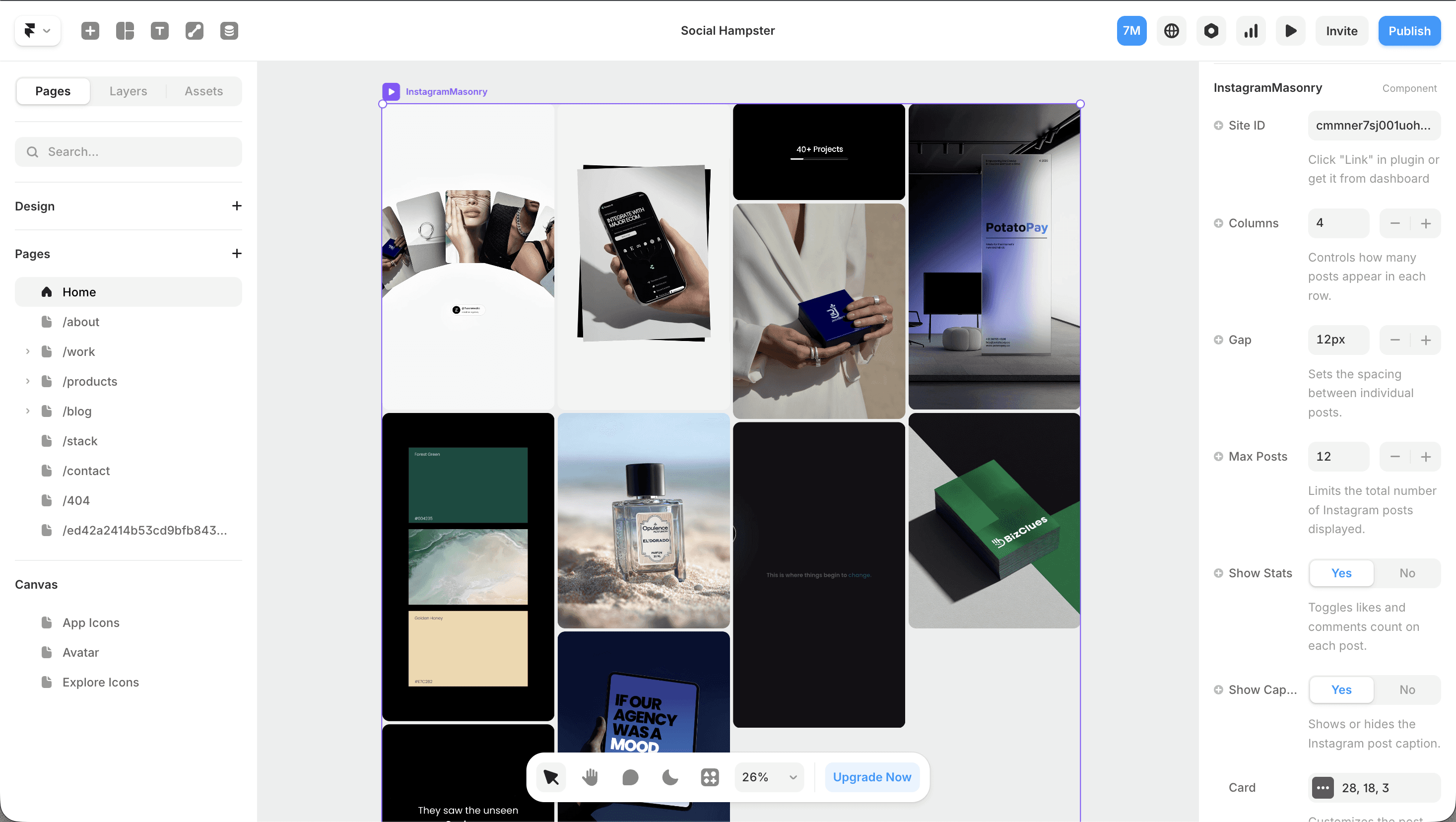Instagram feed by Social Hampster