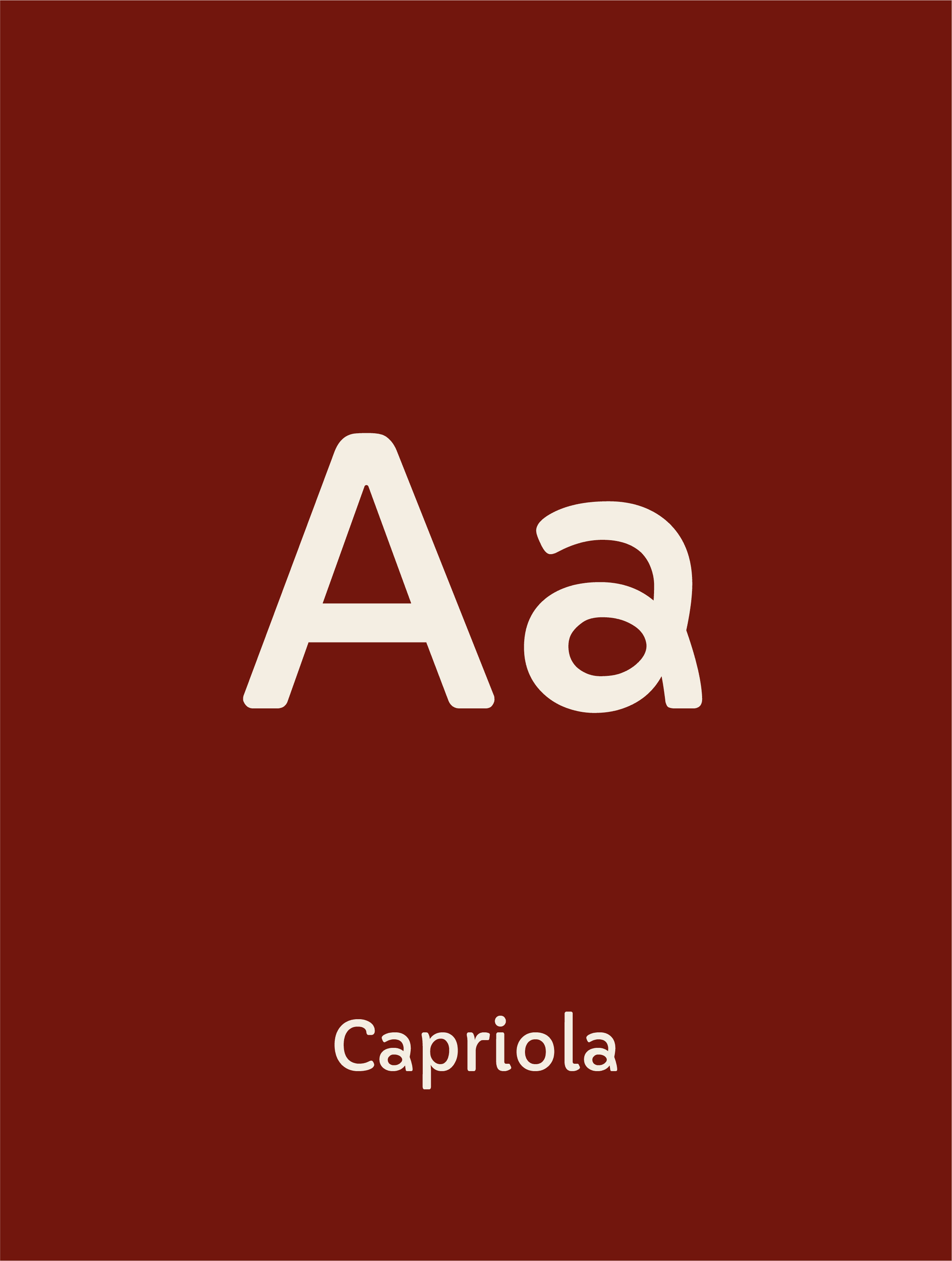 Dom Pérignon vineyards from the sky