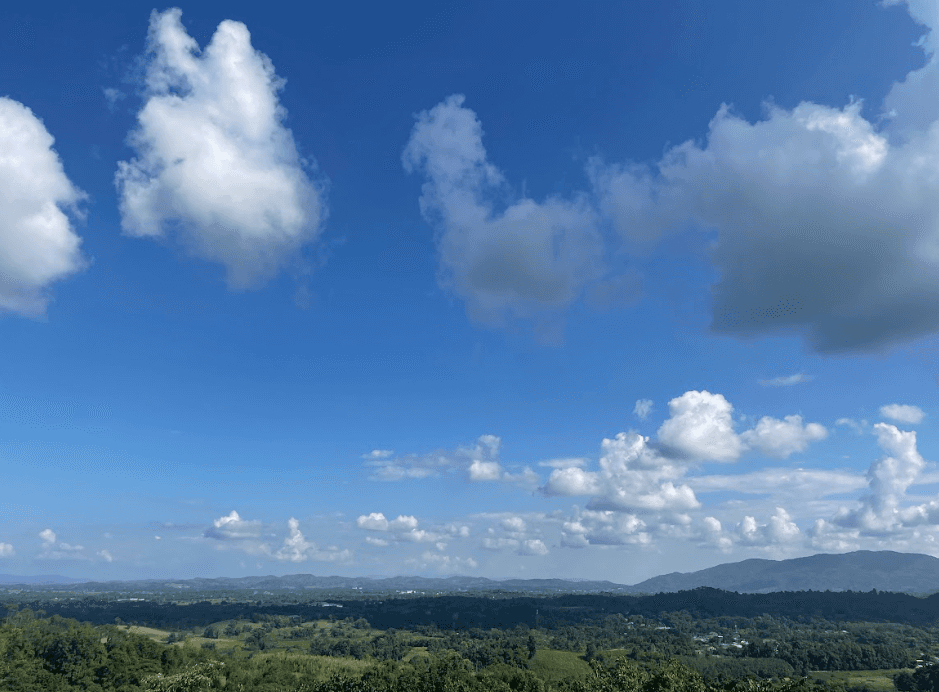 Right Hygiene Conference