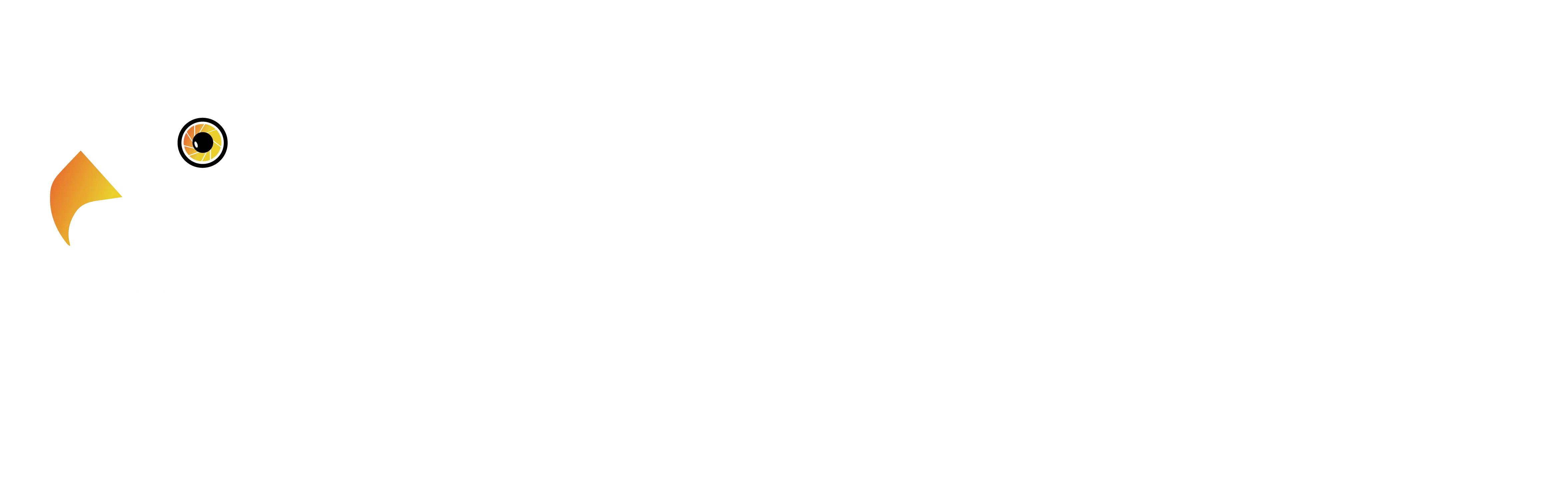 Logo Jewelry Photography Services in Houston _ Eagle Eye Media LOGO website developed & designed by Dreams Agency Mississauga, Ontario