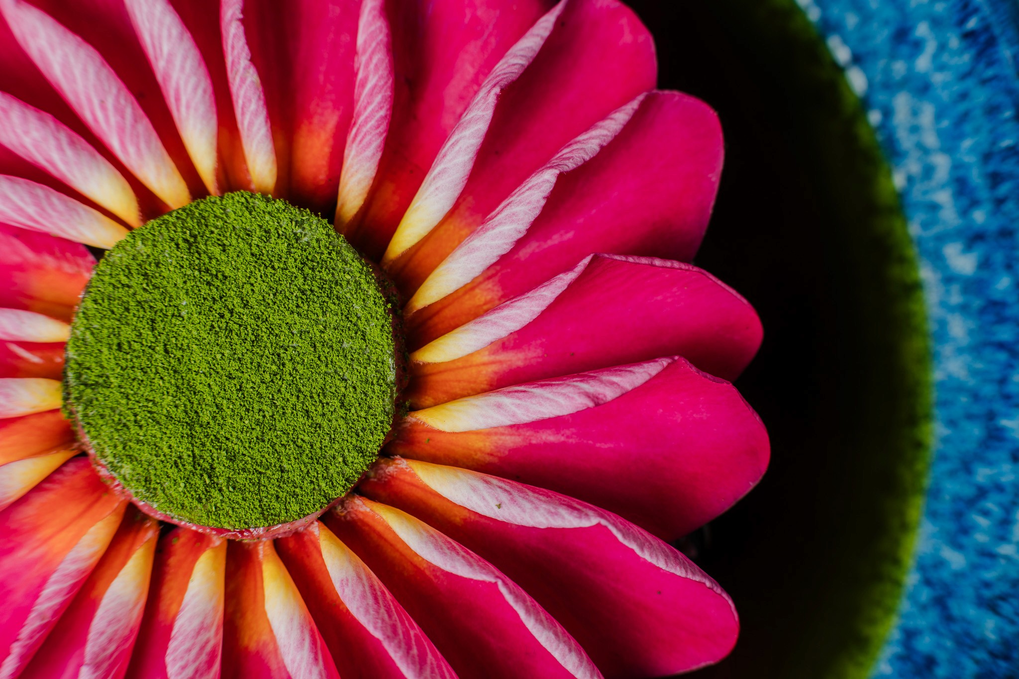 Creative portrait with geometric pink eyewear and bold fashion styling in urban setting