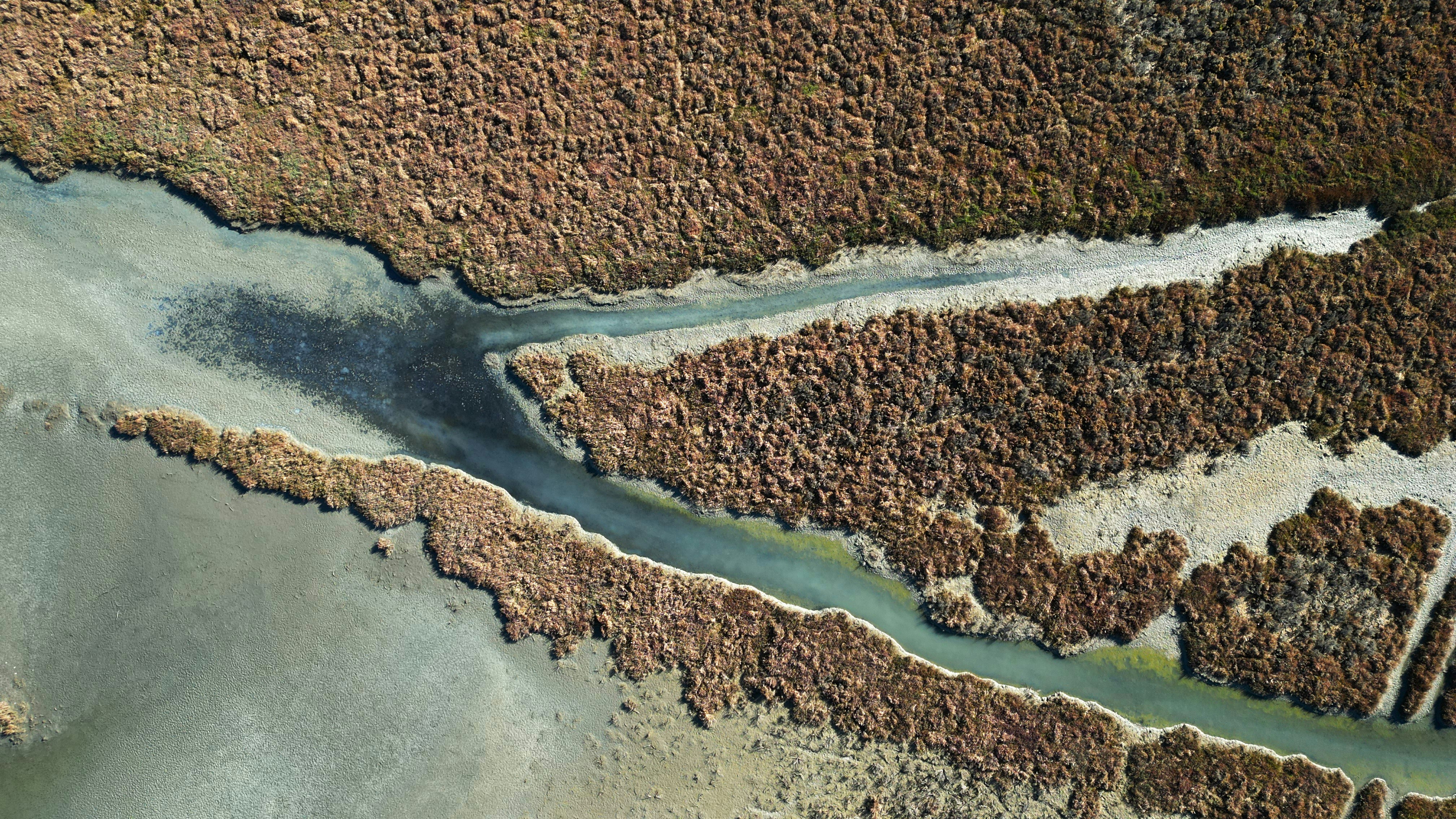 Aerial view of a river delta with brown marshland