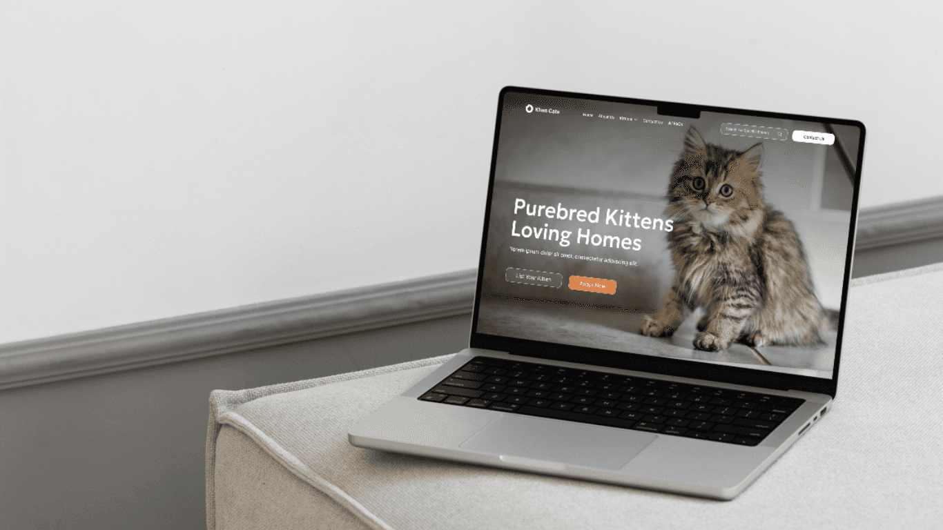 Portfolio project image