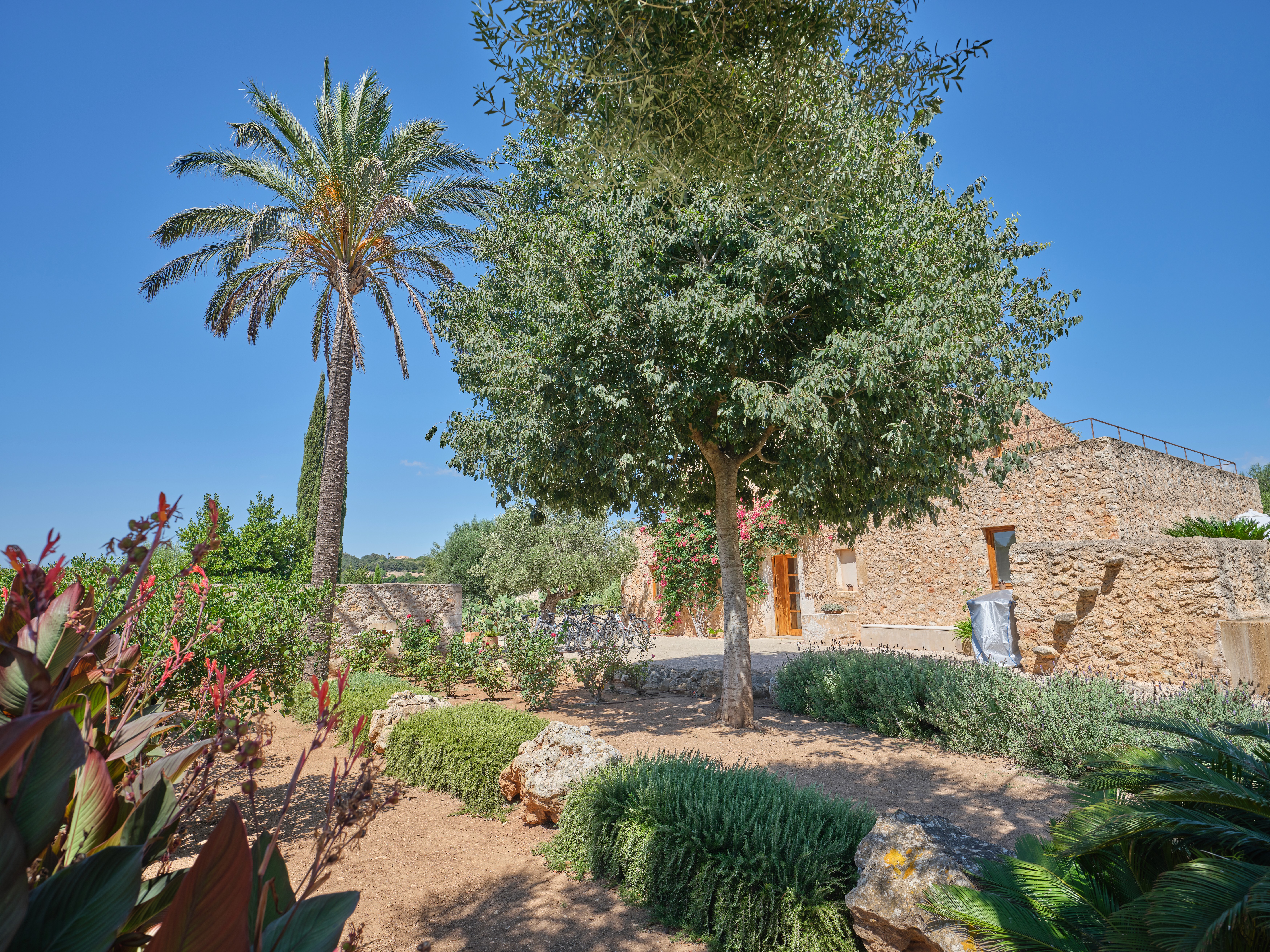 Gardens in Son Penya