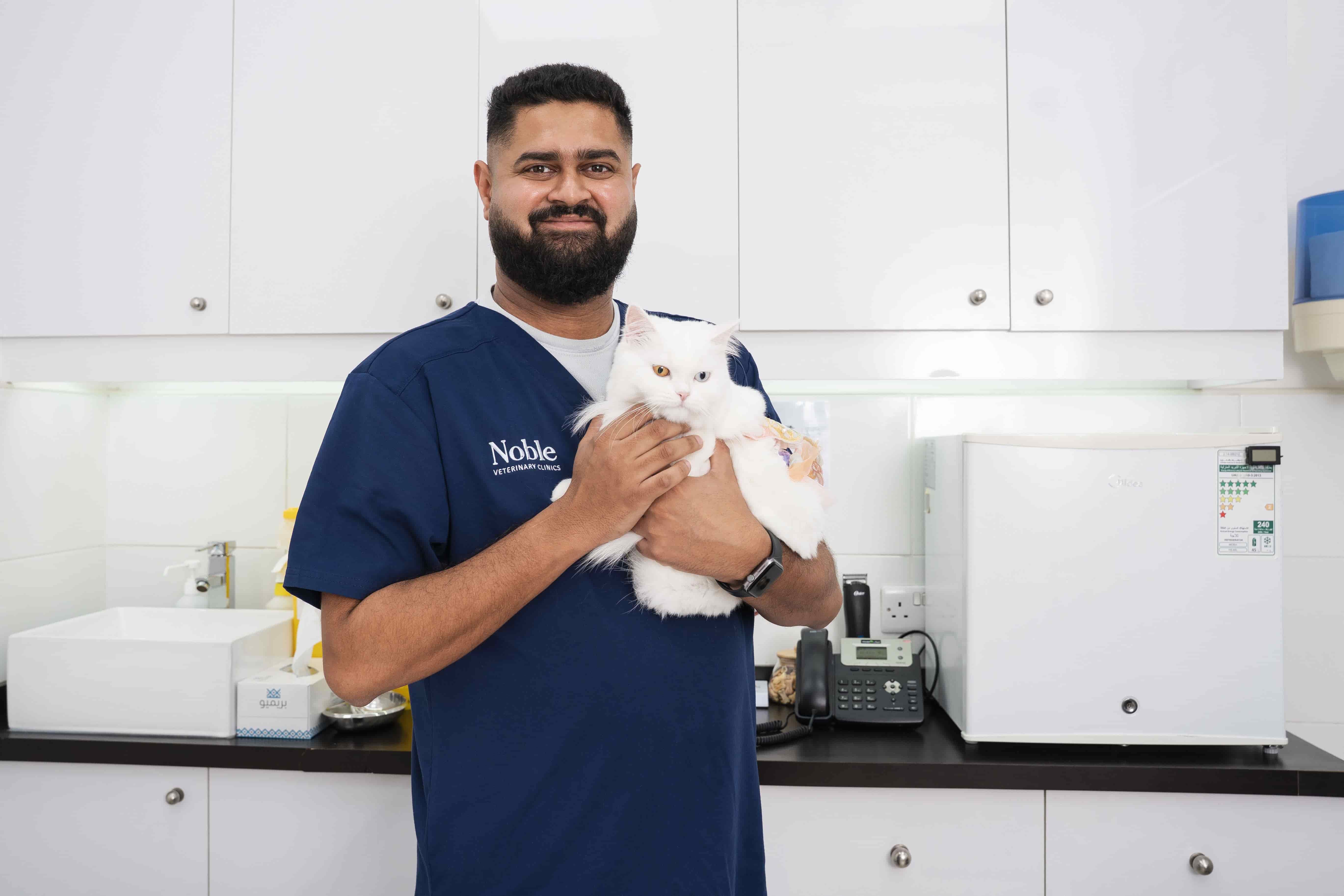 How Long Do Cats Take to Recover From Spaying?