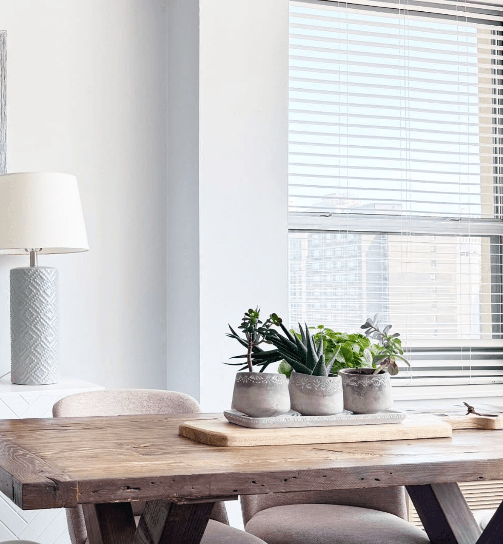 serene dining room table with three plants