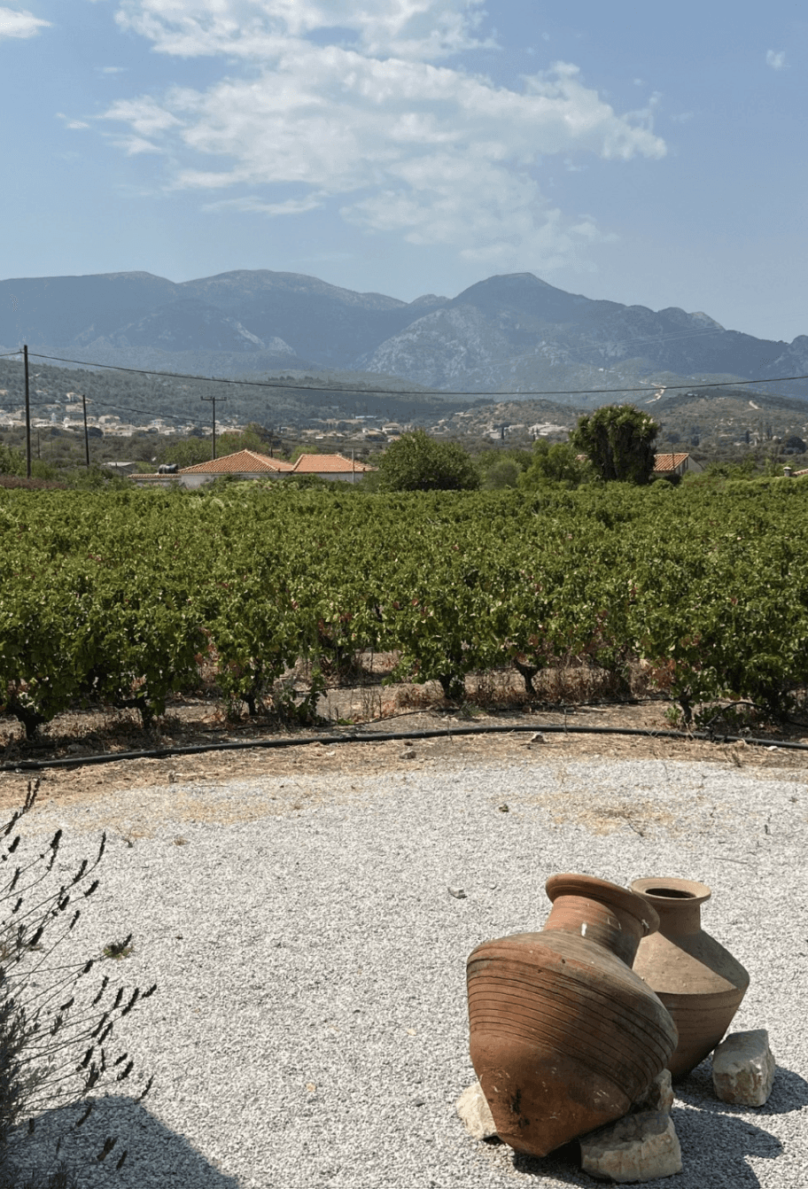 natural beauty products