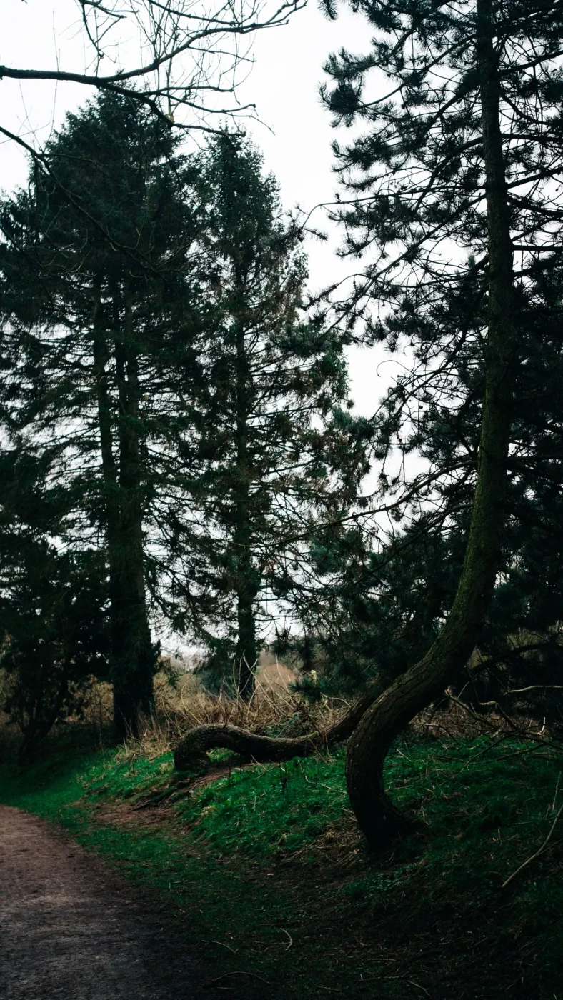 Landscape photography around Leicestershire