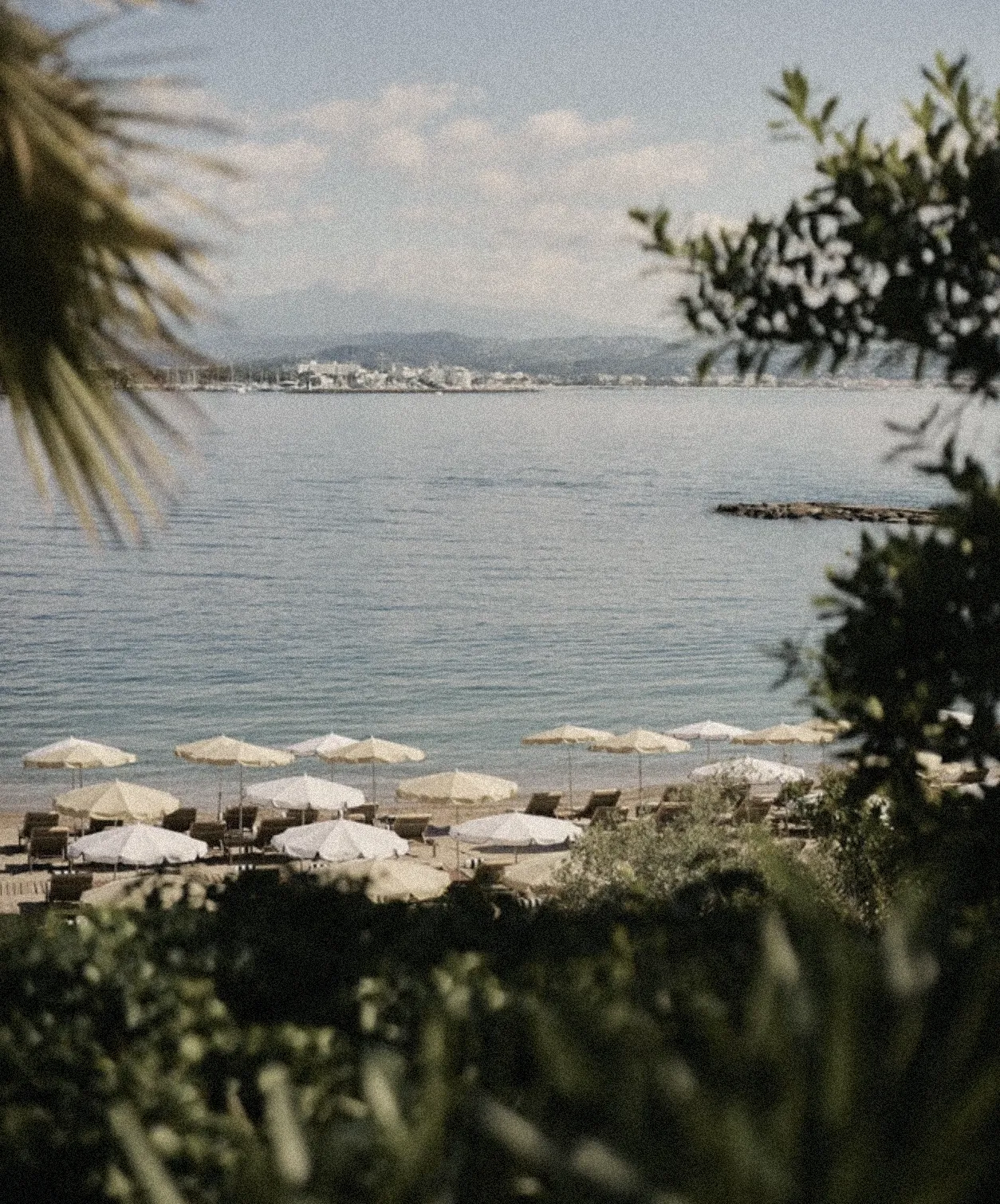 View of a serene coastal beach lined with beige umbrellas and sun loungers, framed by lush greenery and calm blue water under a soft summer light.