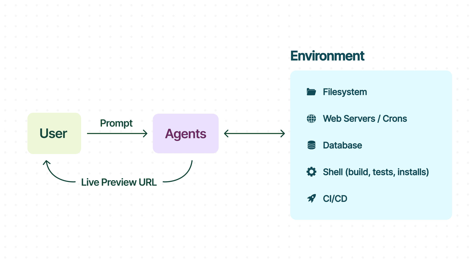 Why the Environment Matters