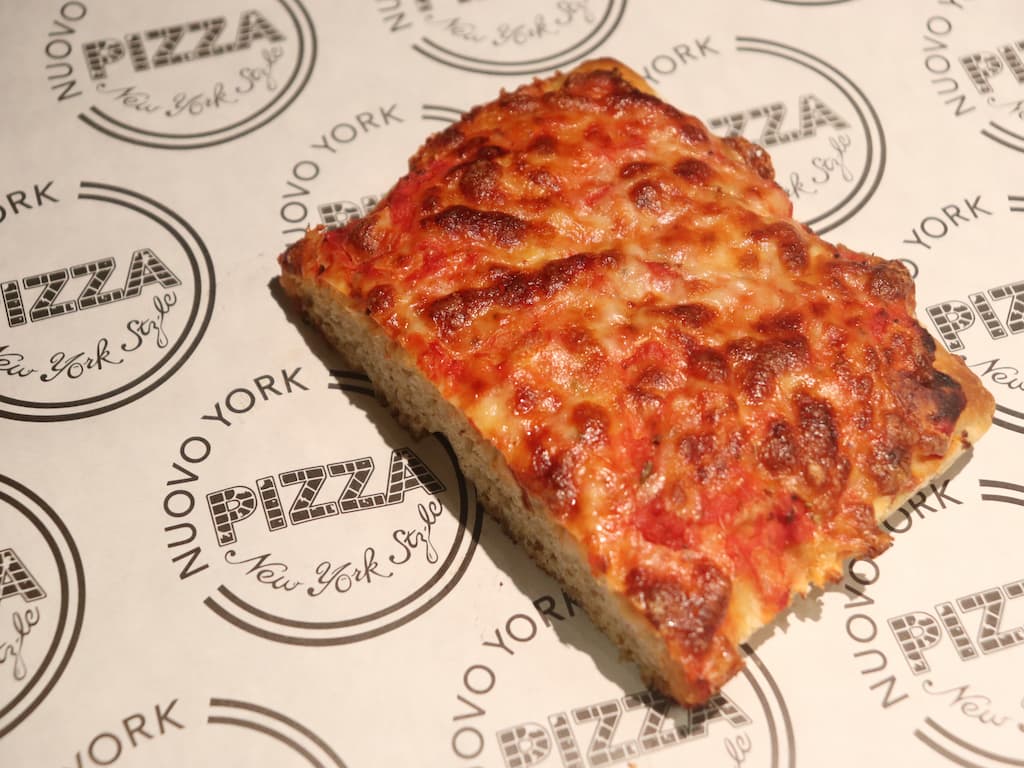a pizza with tomatoes and onions