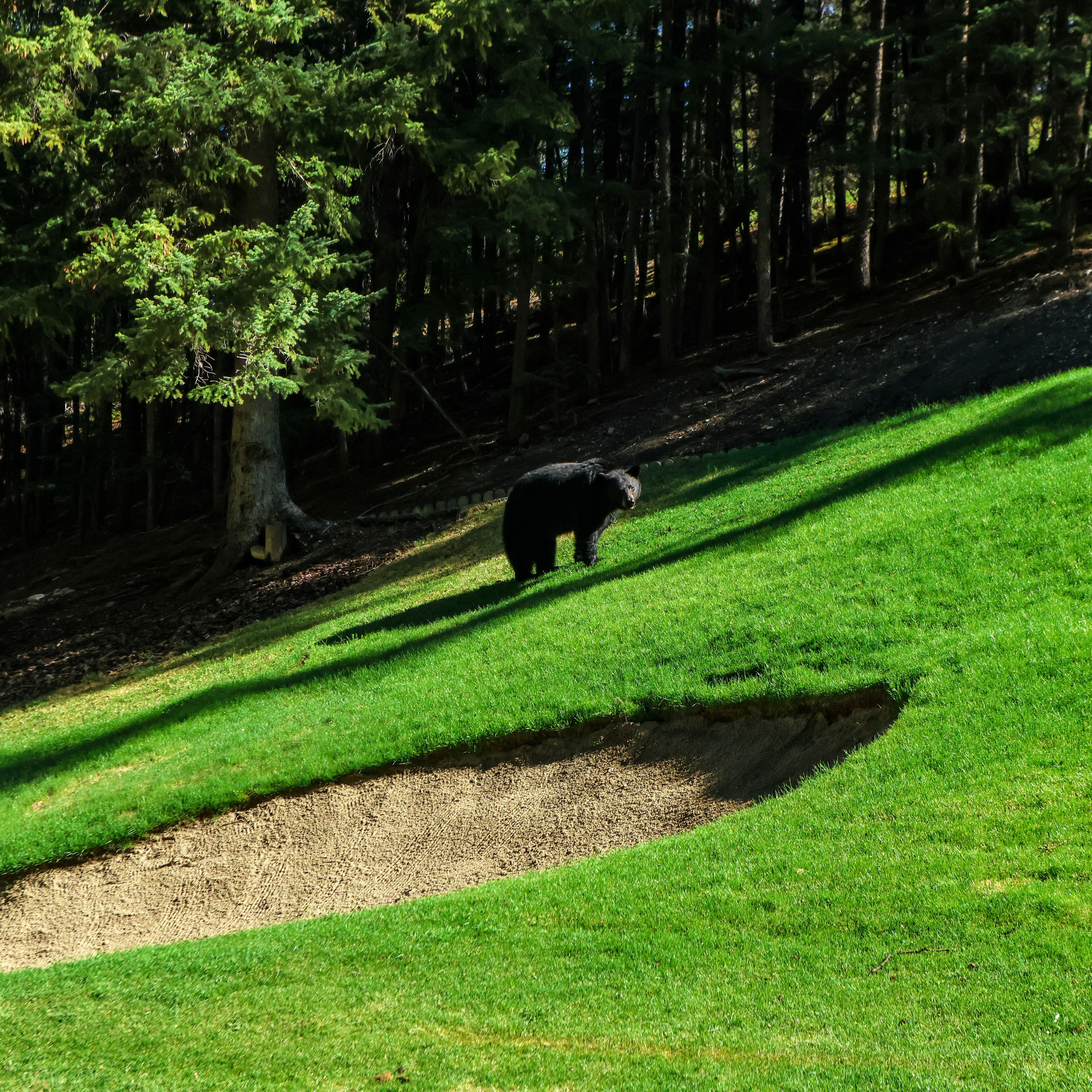 A lady with surfboard