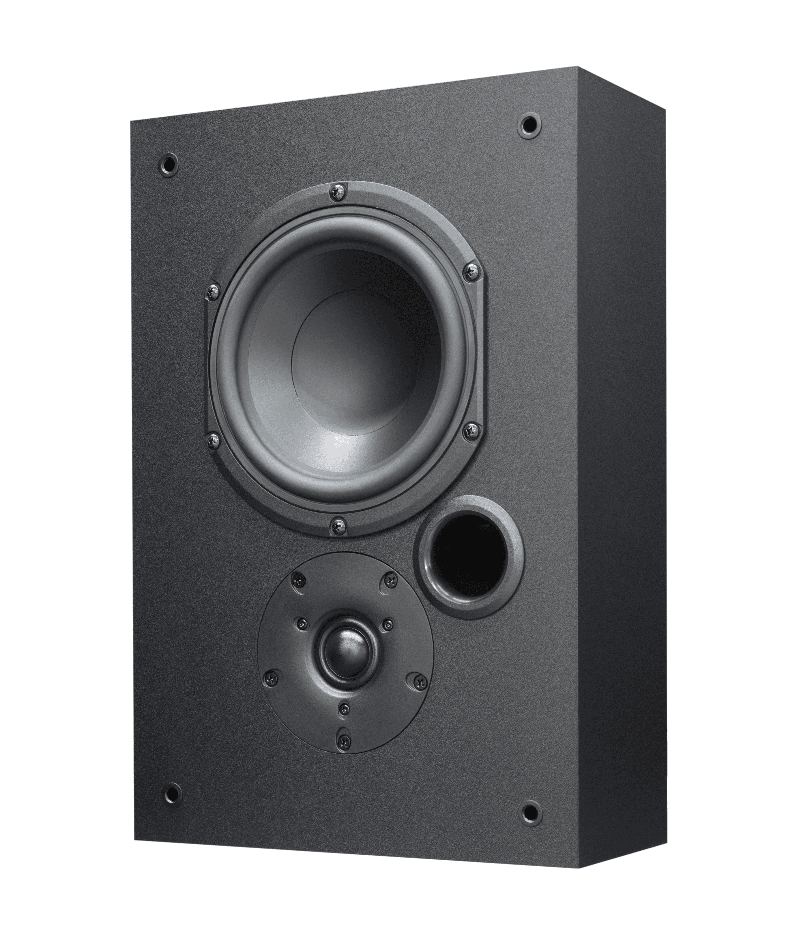Black speaker with tweeter and port.