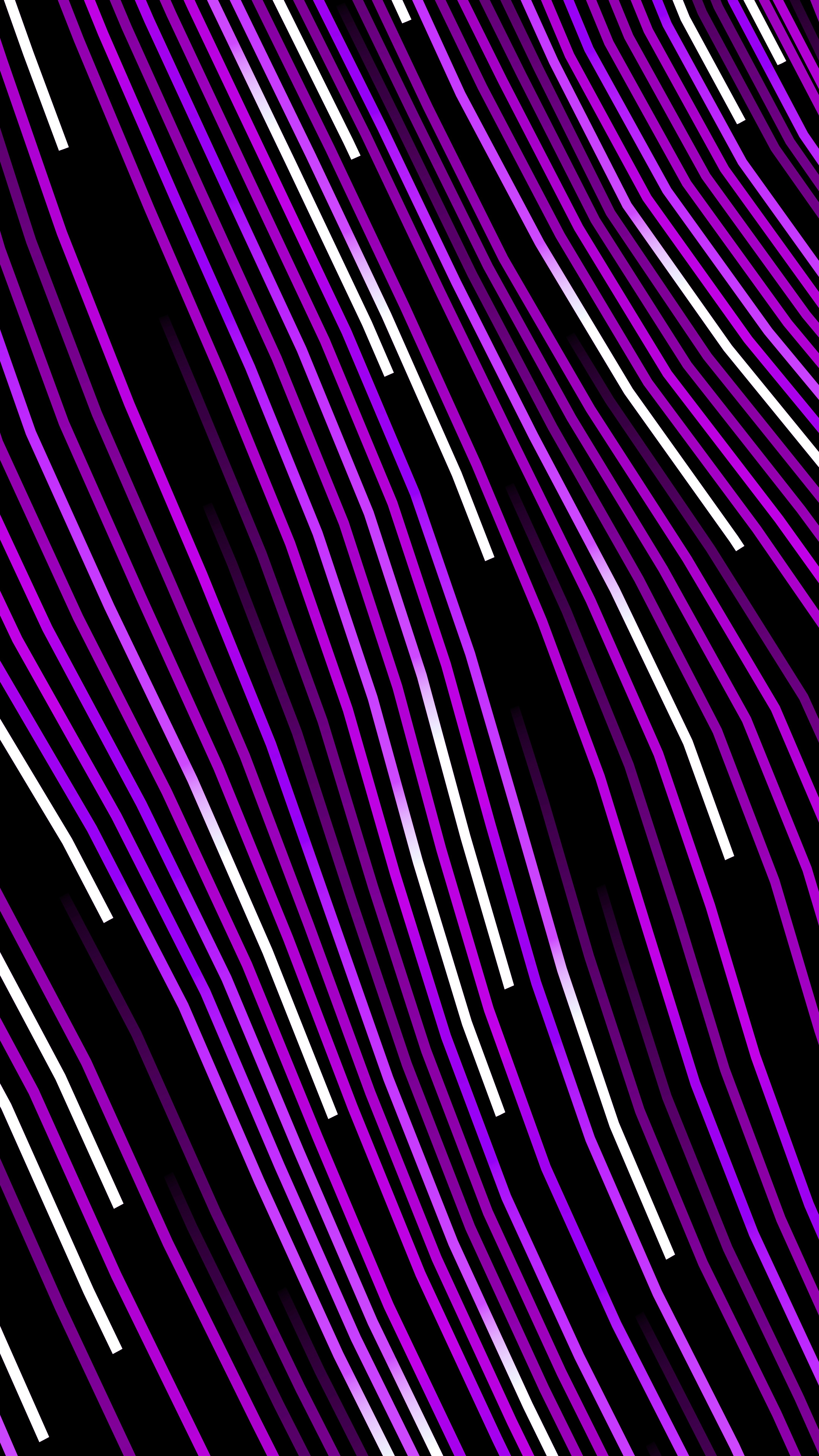 Purple and white lines on a black background
