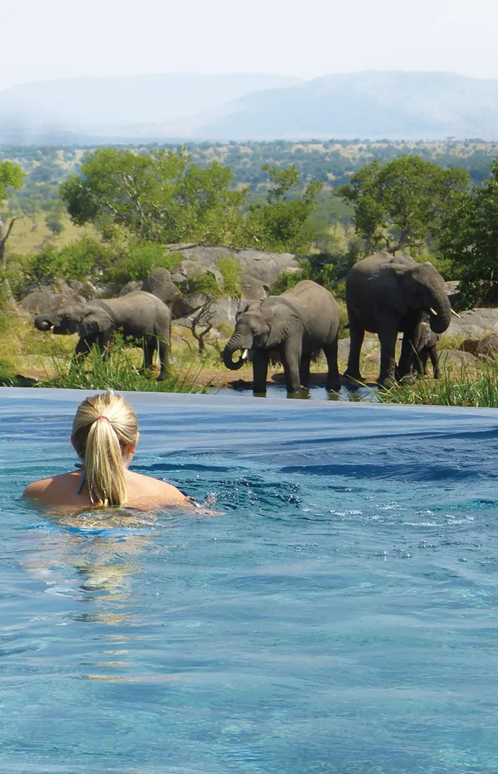 Grand Family Safari in Tanzania