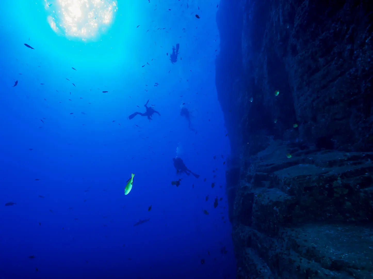 A group of divers next a wall
