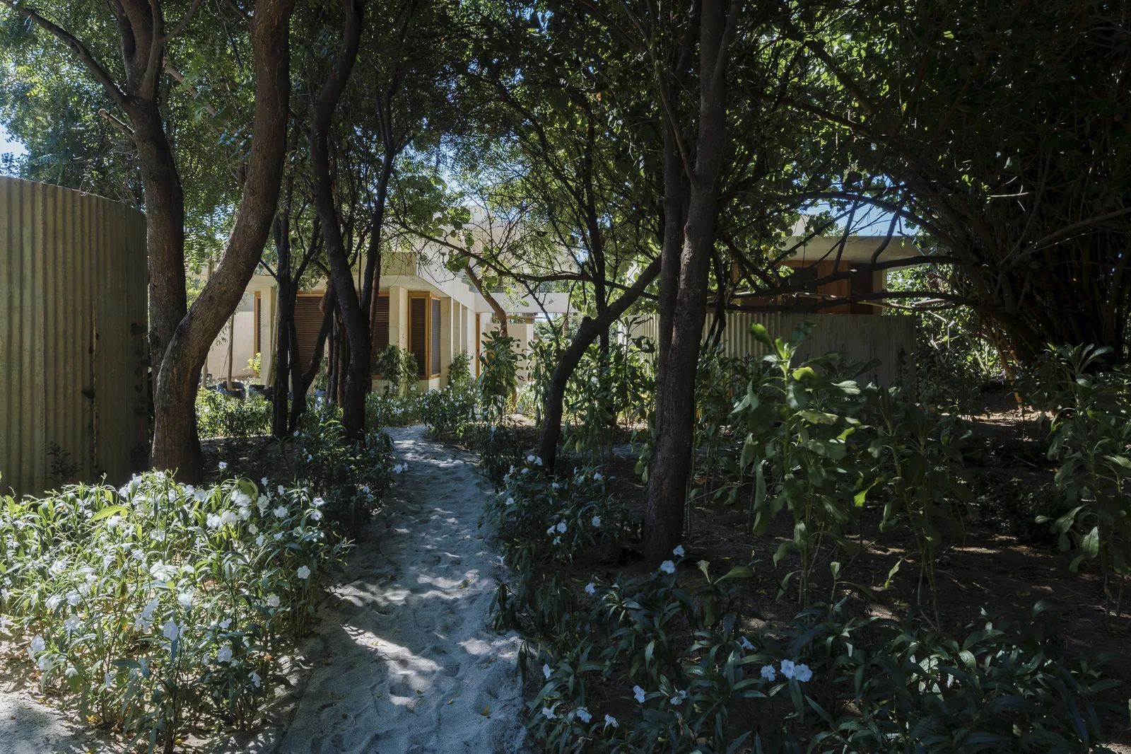 Detalle del jardín de Casa Ohana con vegetación costera