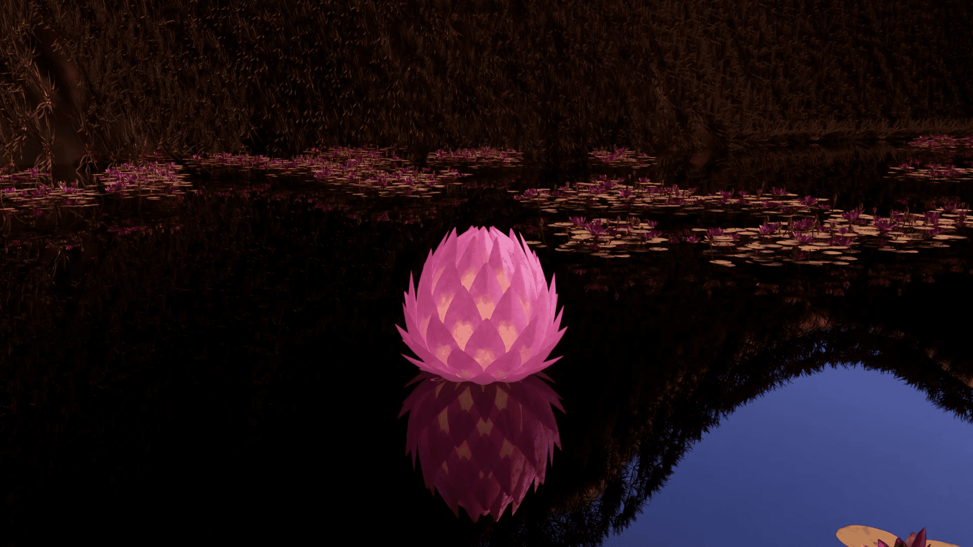 Project Aura. The lotus lantern is floating on the water.