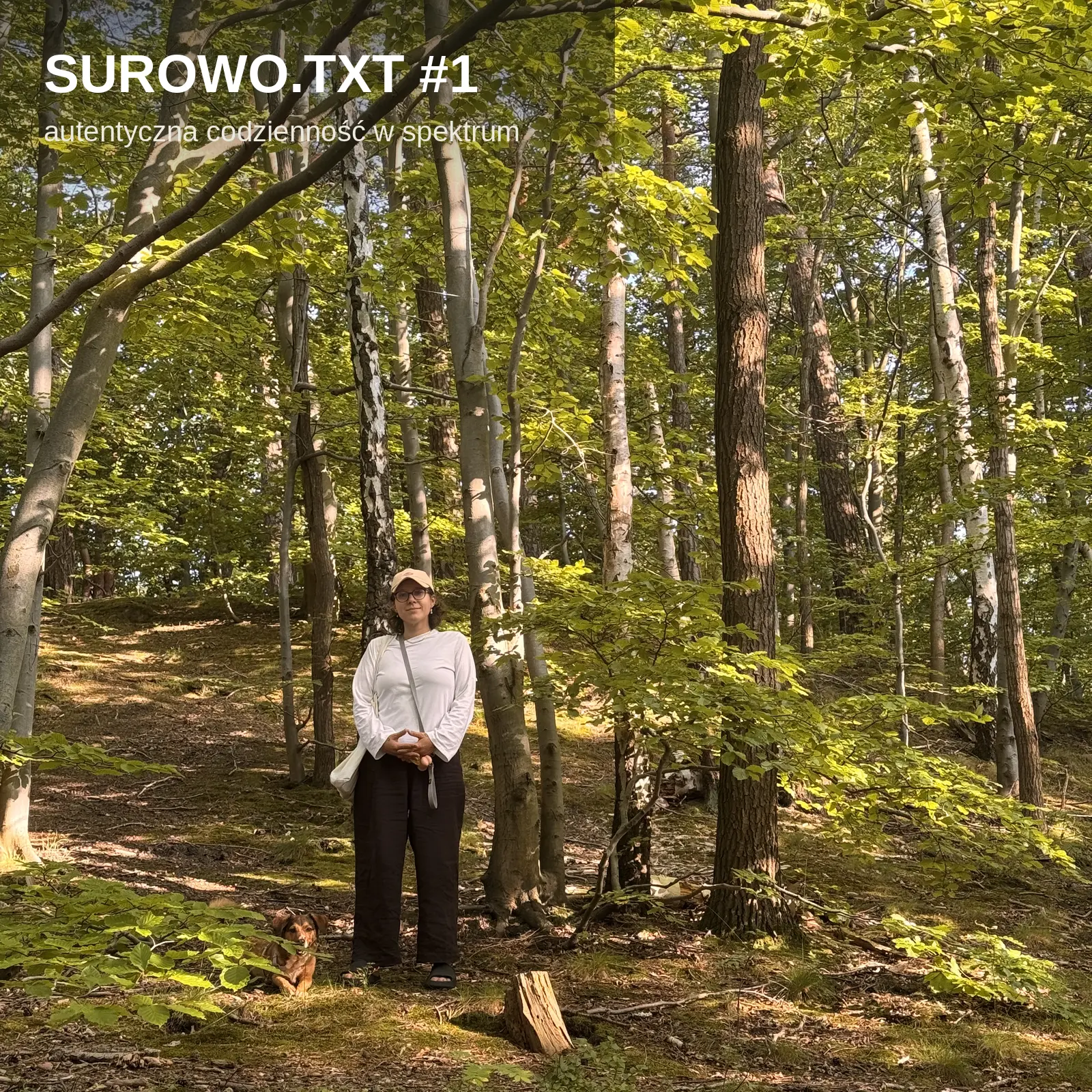 A person stands amidst a serene forest filled with tall, slender trees under a sunlit canopy, wearing casual outdoor attire and surrounded by vibrant green foliage.