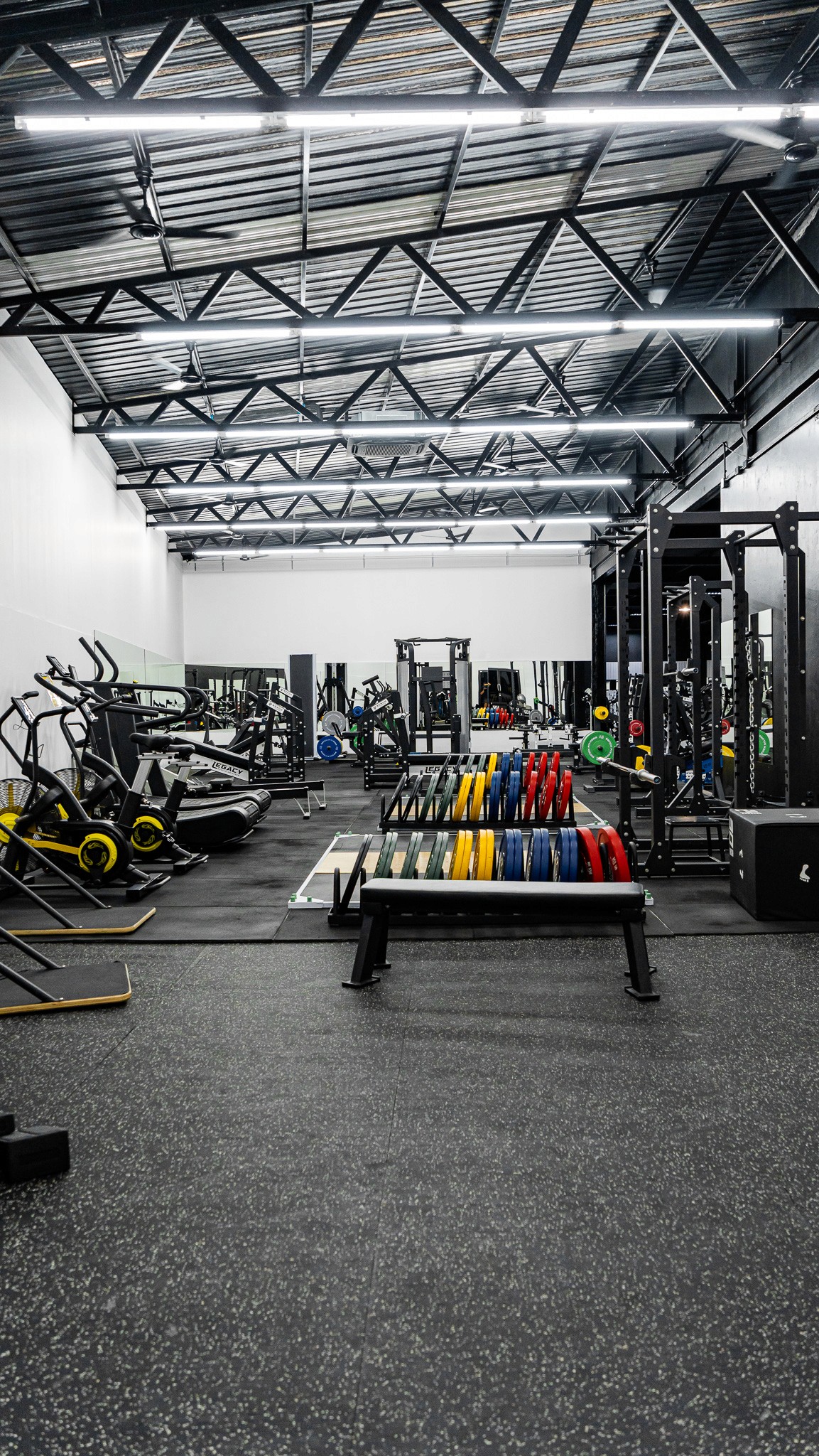 High-tech cardio machines at Legacy Muscle Universe Koh Samui, including treadmills and ellipticals in a spacious, air-conditioned gym.