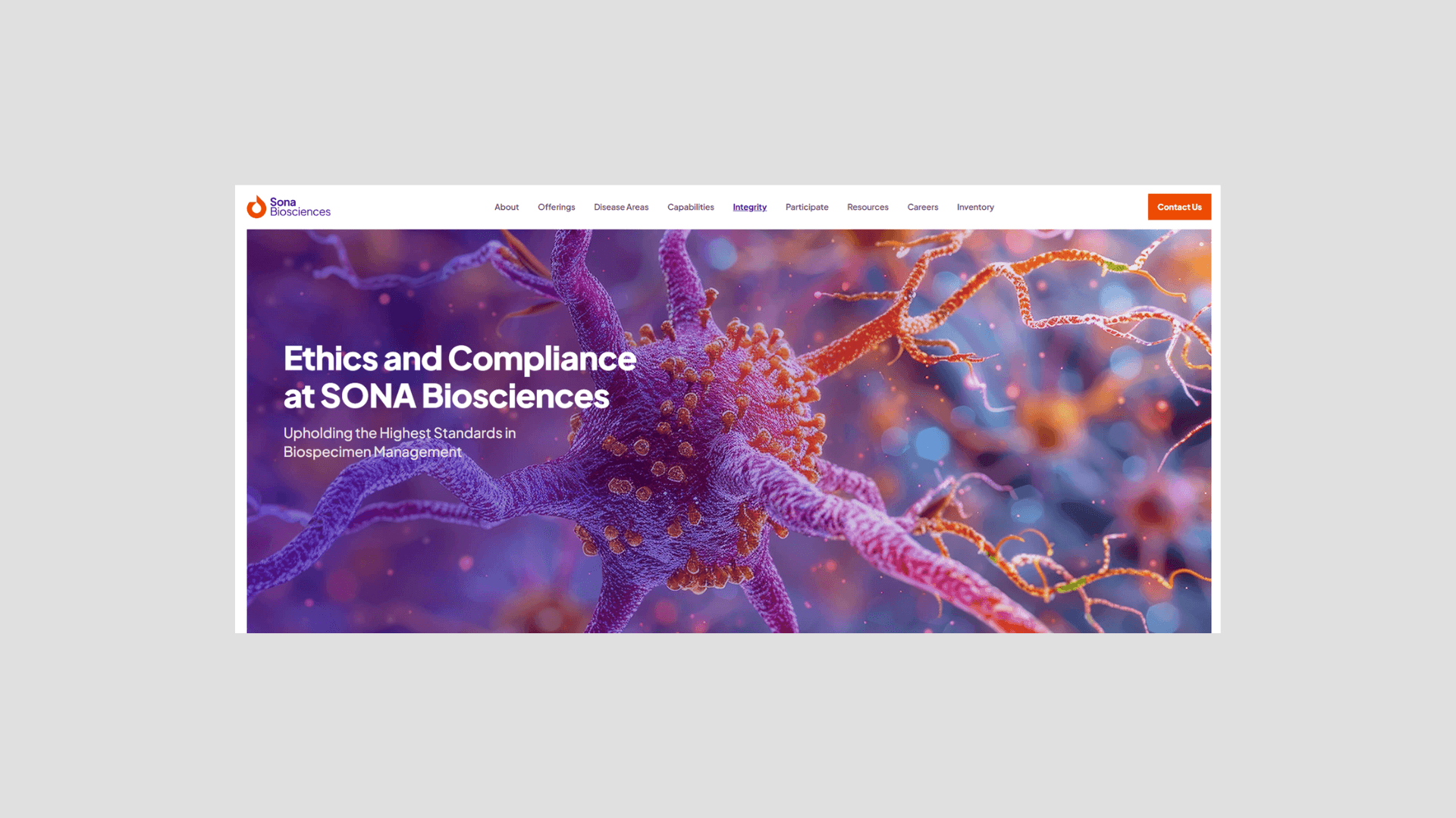 A mockup of screenshot from website