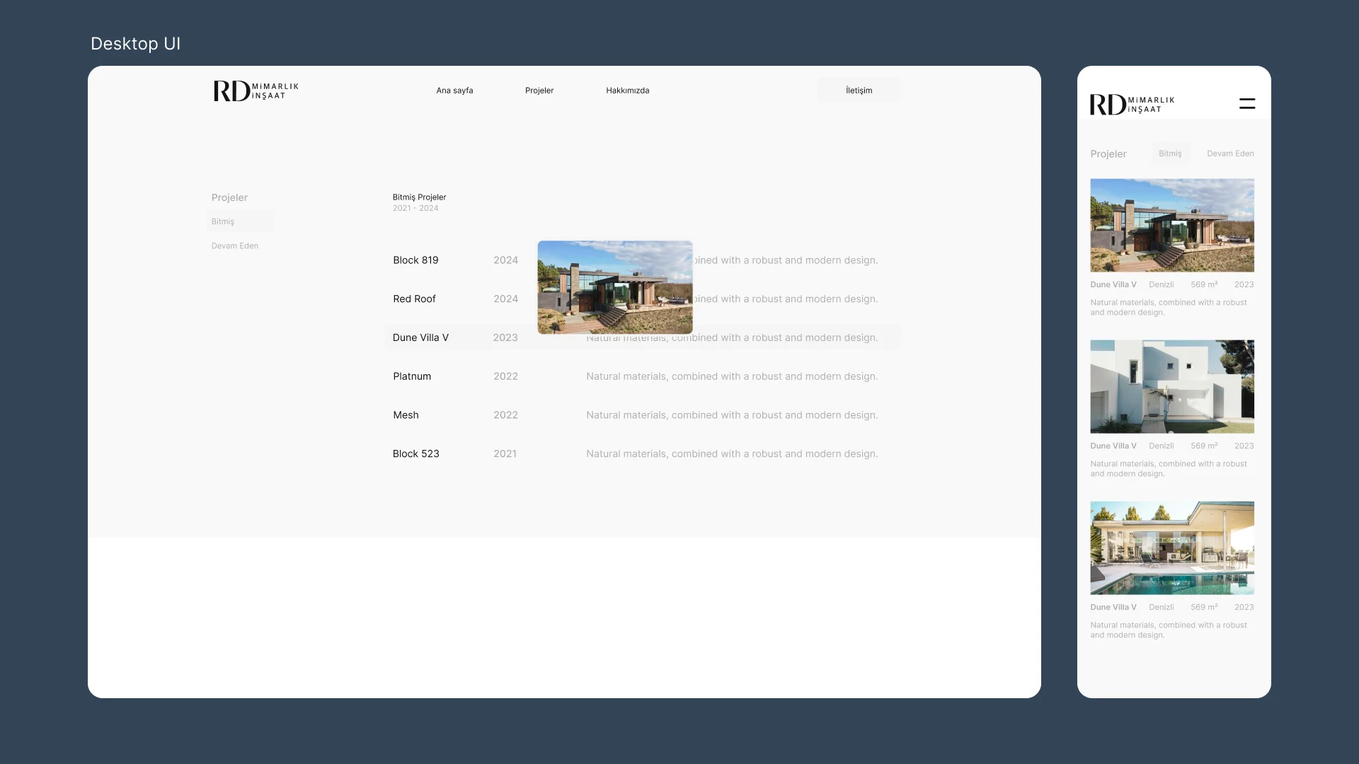 Website showcase projects