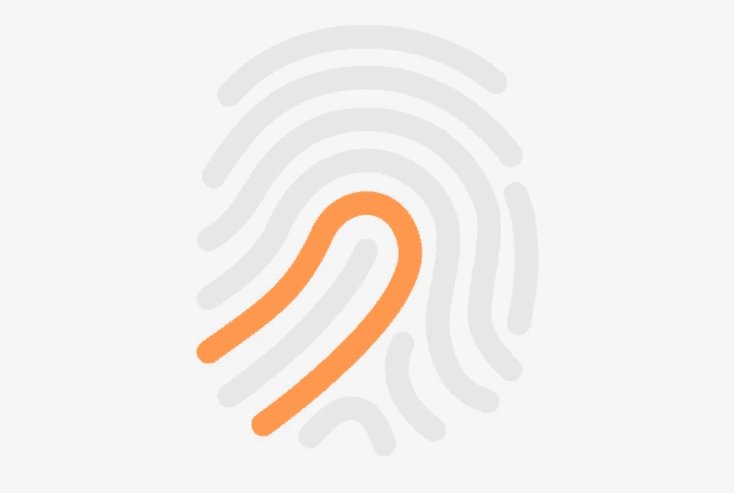 Software user interface