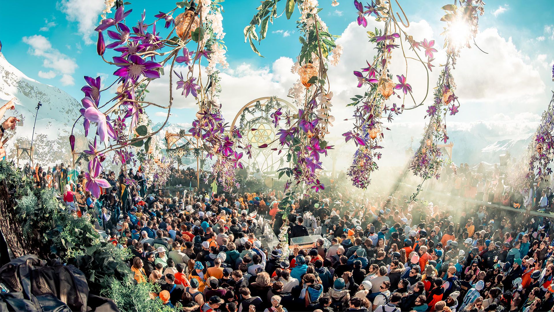 canal between cherry blossom trees