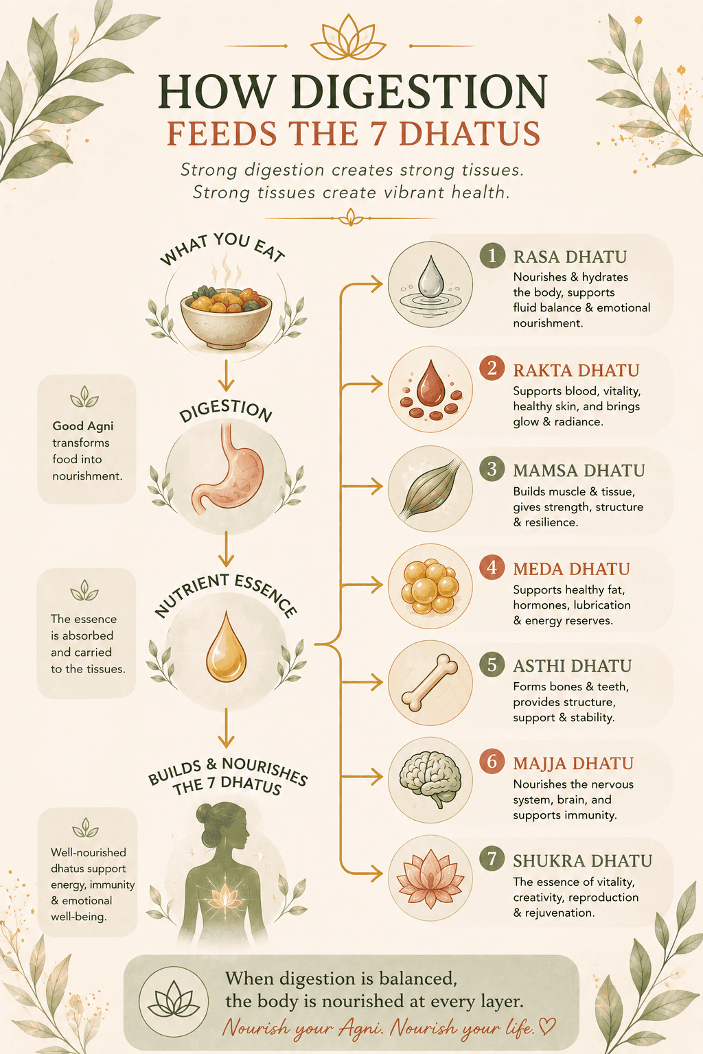 ayurveda 7 dhatus and your energy