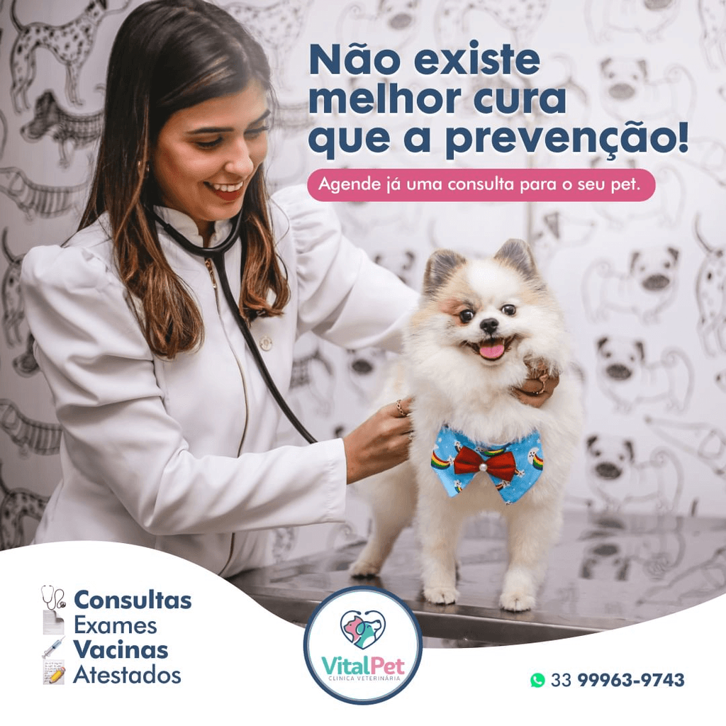 Vital Pet Clínica Veterinária - A prevenção é o melhor cuidado para a saúde do seu pet. Oferecemos consultas, exames, vacinas e atestados para garantir a saúde do seu animal de estimação.