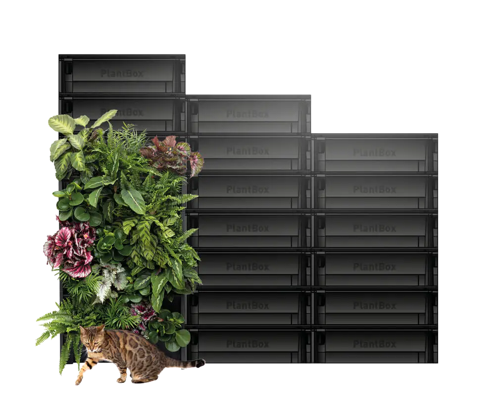 PlantBox modular living wall system with stacked planters and mixed foliage