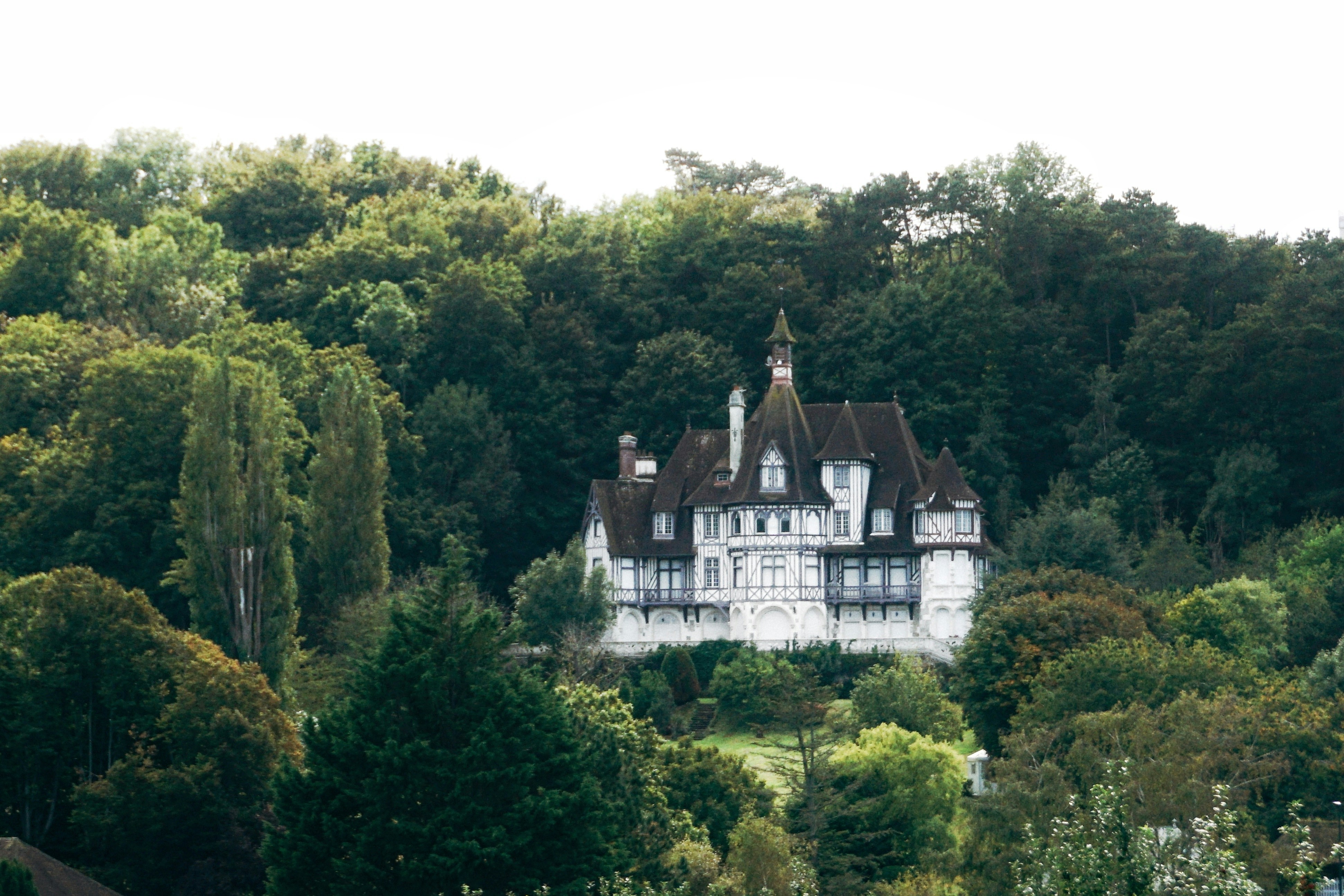 a large chateau in France, illustrating the wealth americans exposed to IFI 