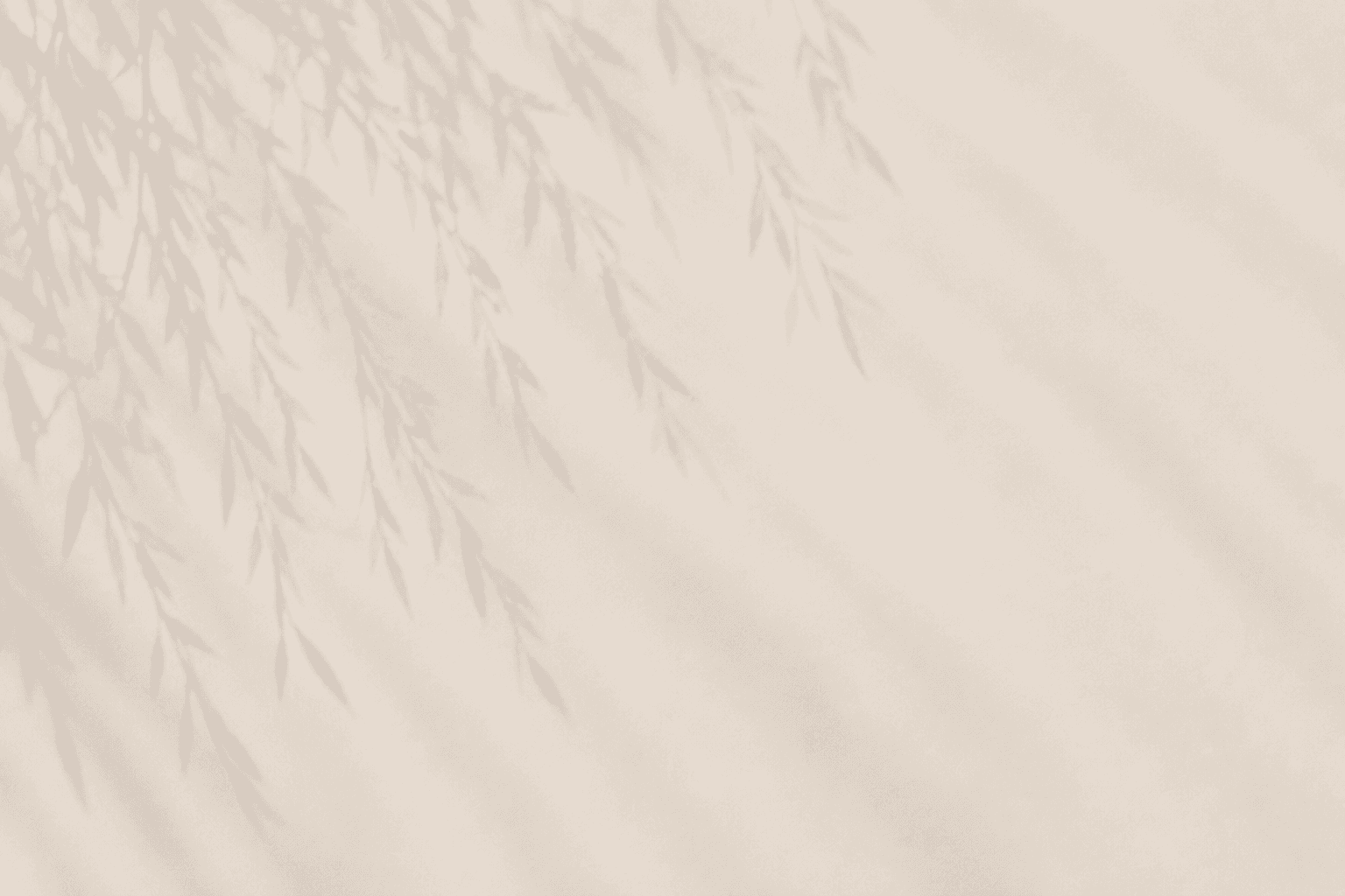 Shadows of tree branches
