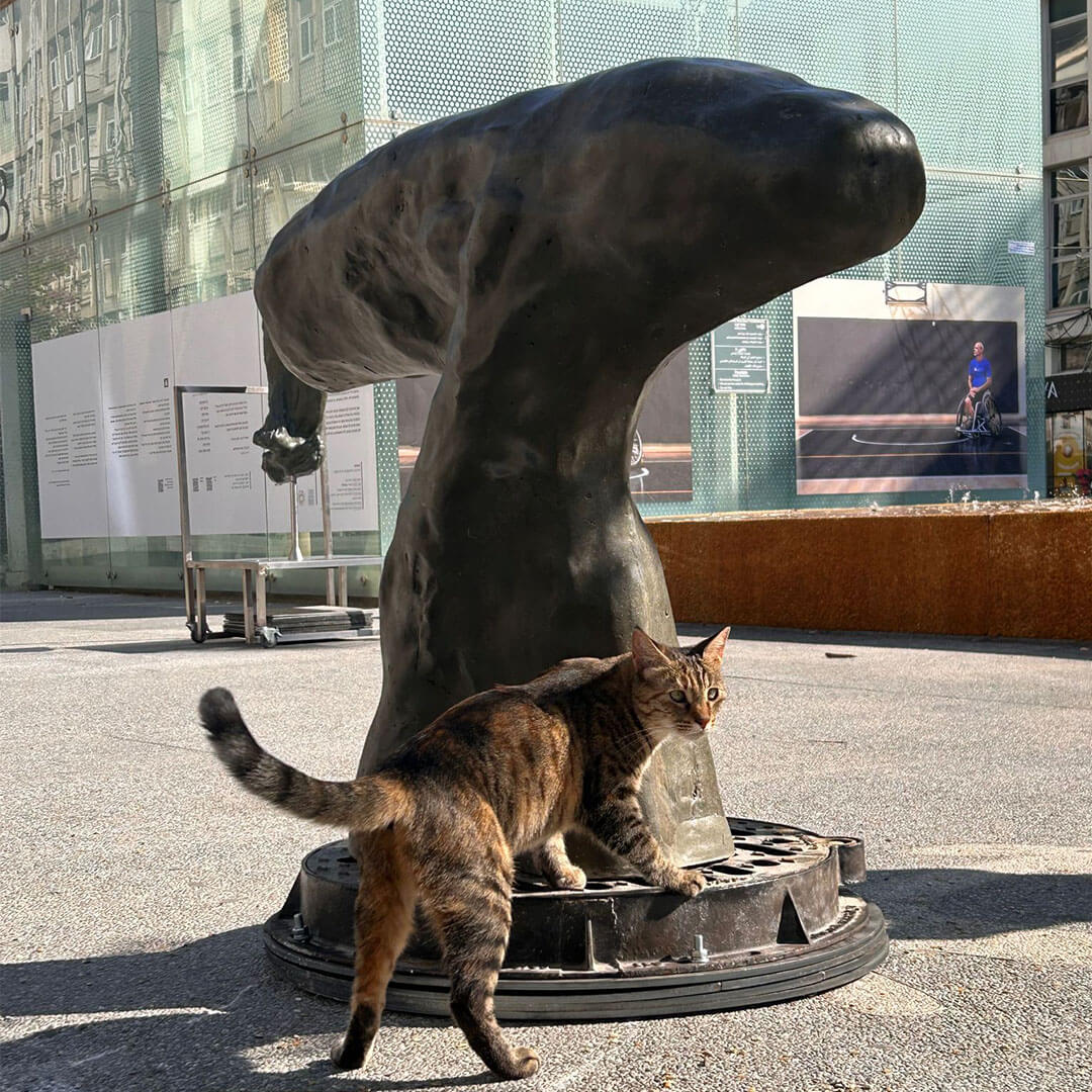 Wild City by Roni Avni