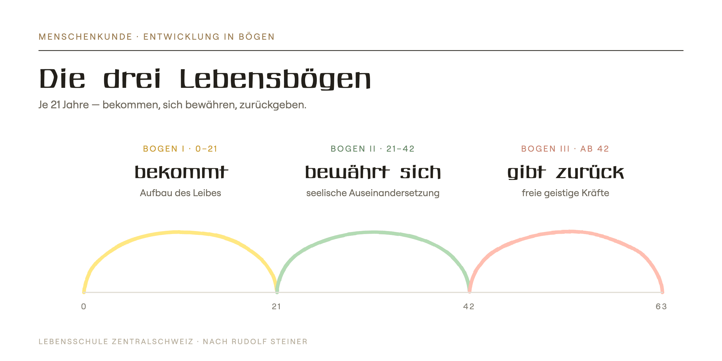 Die drei Lebensbögen