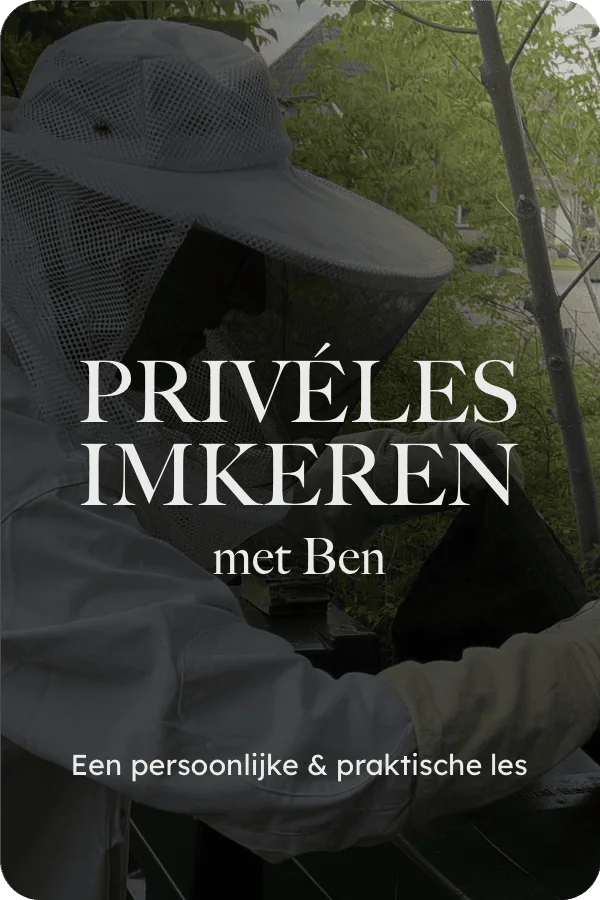 PRIVÉLES IMKEREN — met Ben — Een persoonlijke & praktische les