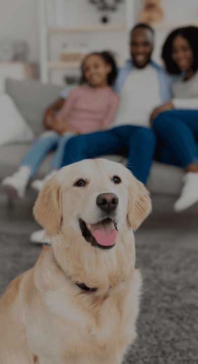 Scoop Busters. The Villages Florida Pet Waste Removal. Dog Scooping Service. Instant Price.