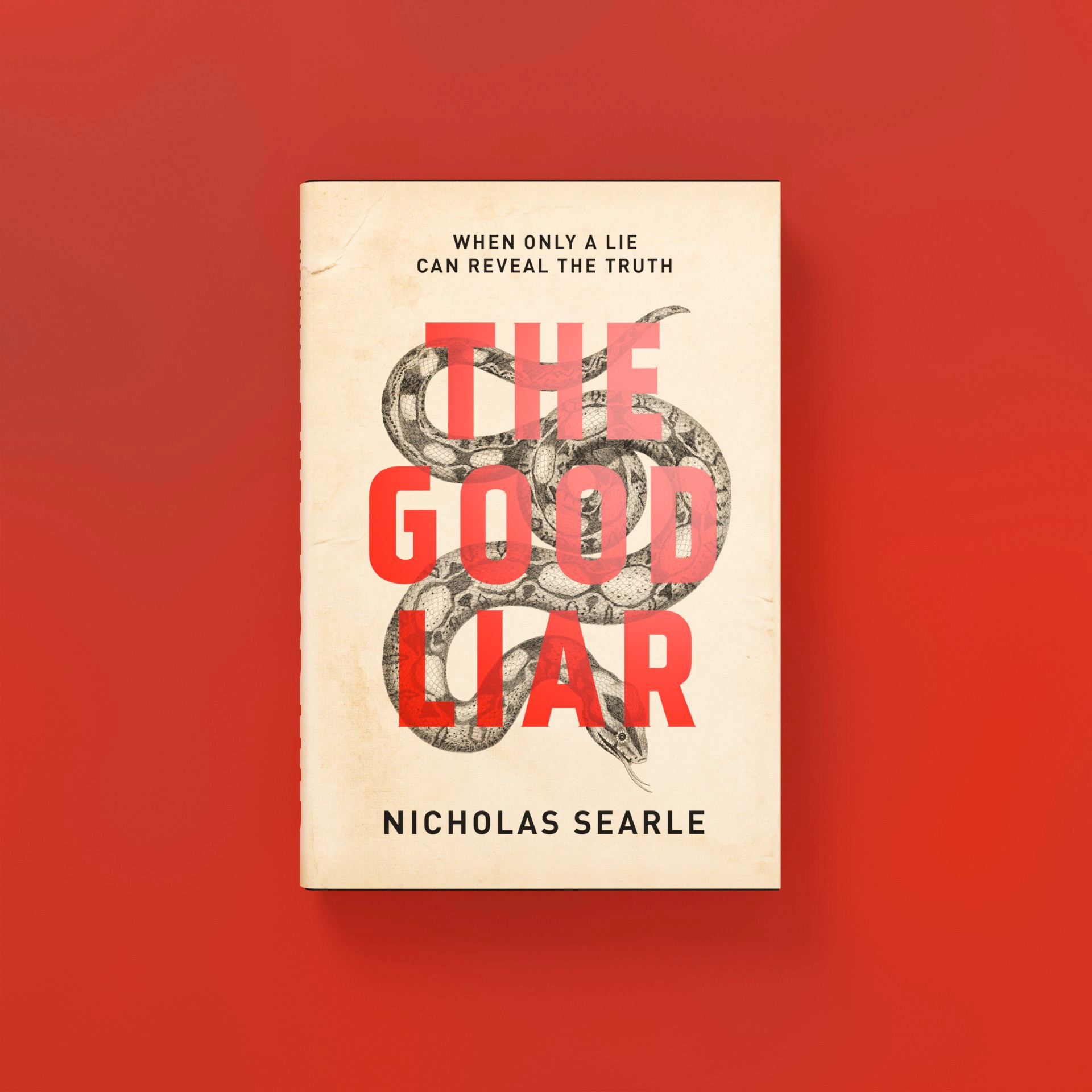 Book cover for The Good Liar by Nicholas Searle