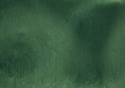 Metallic Color Samples - Dark Green